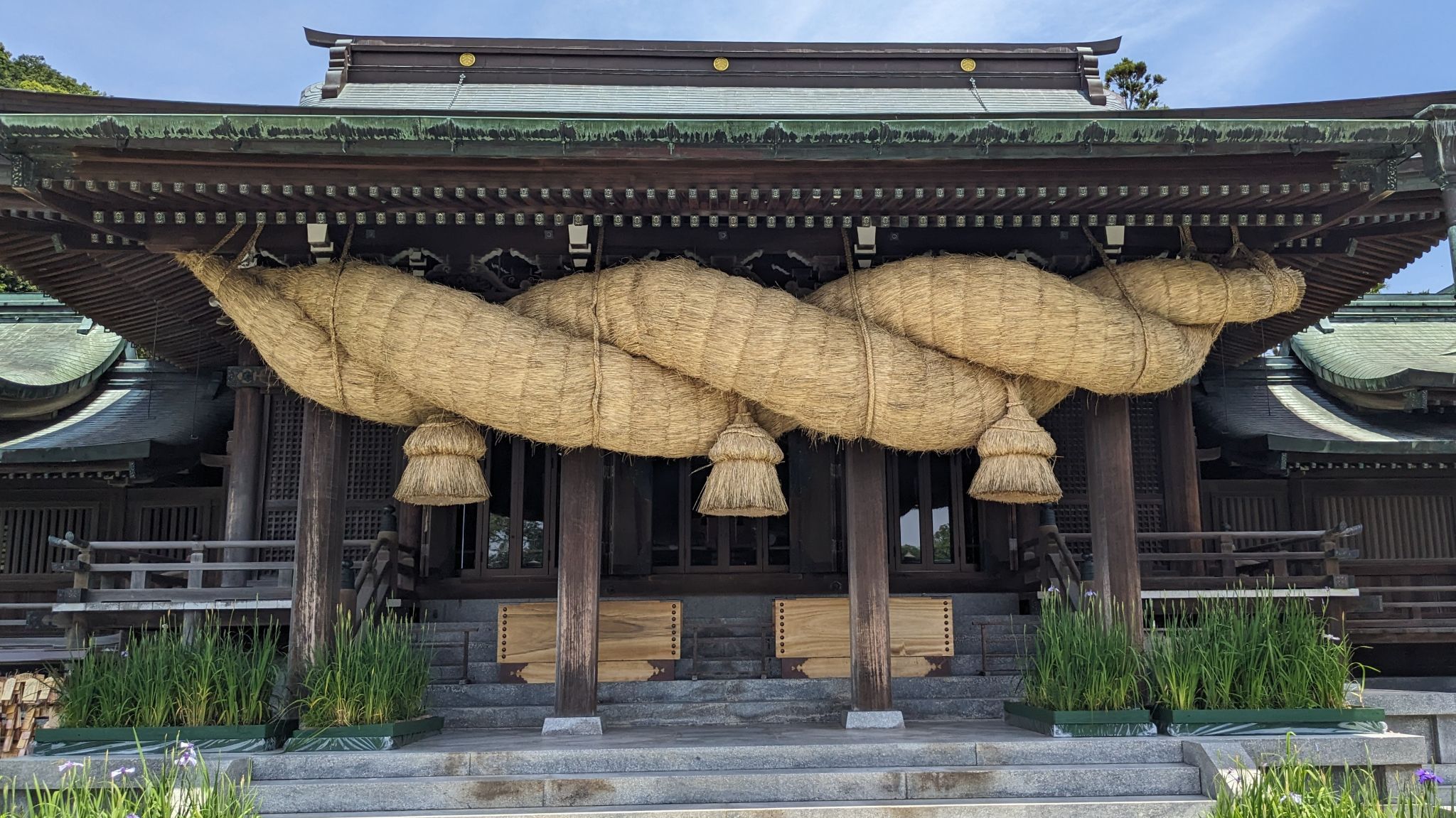 【宮地嶽神社】菖蒲咲く境内とフクロウに出会う、福津の初夏の参拝