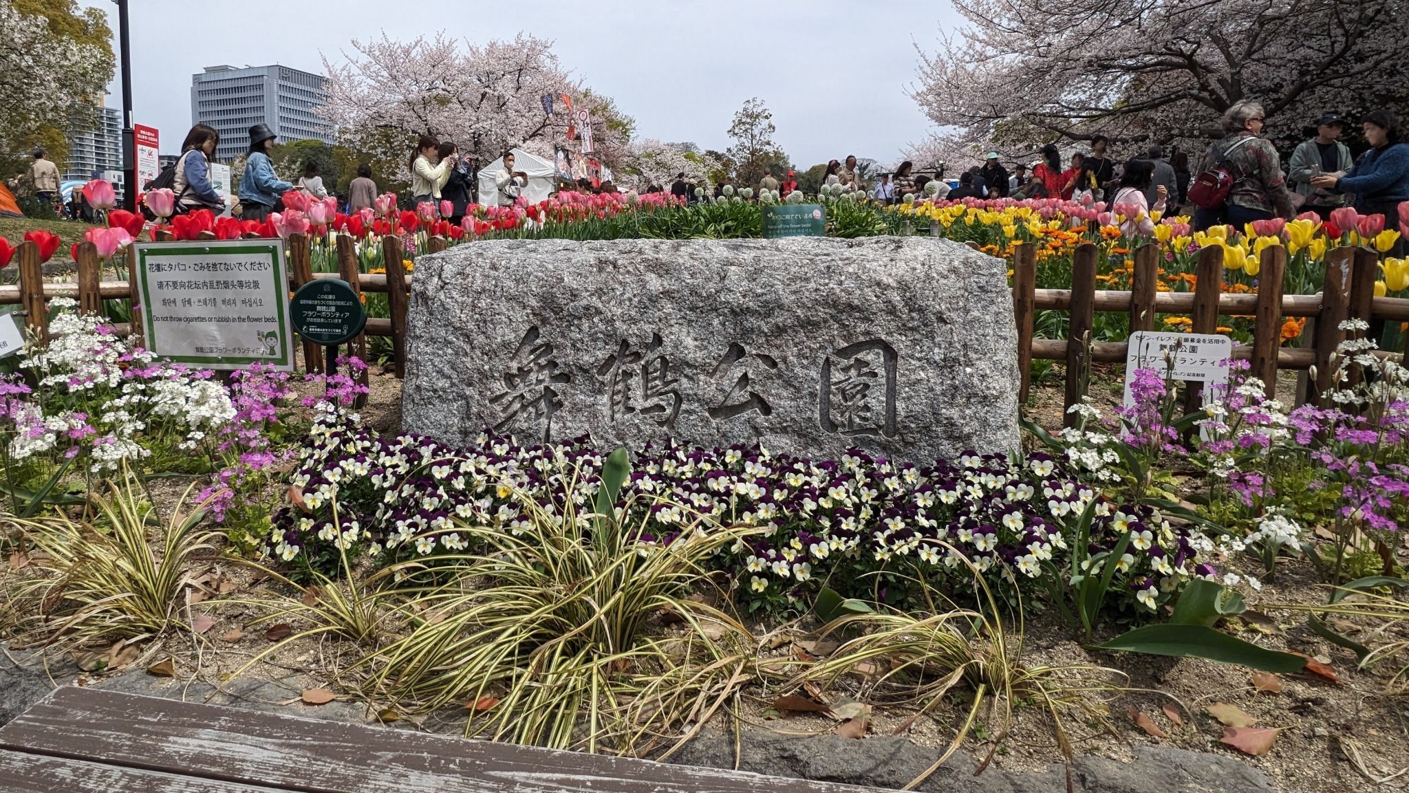 舞鶴公園の花壇