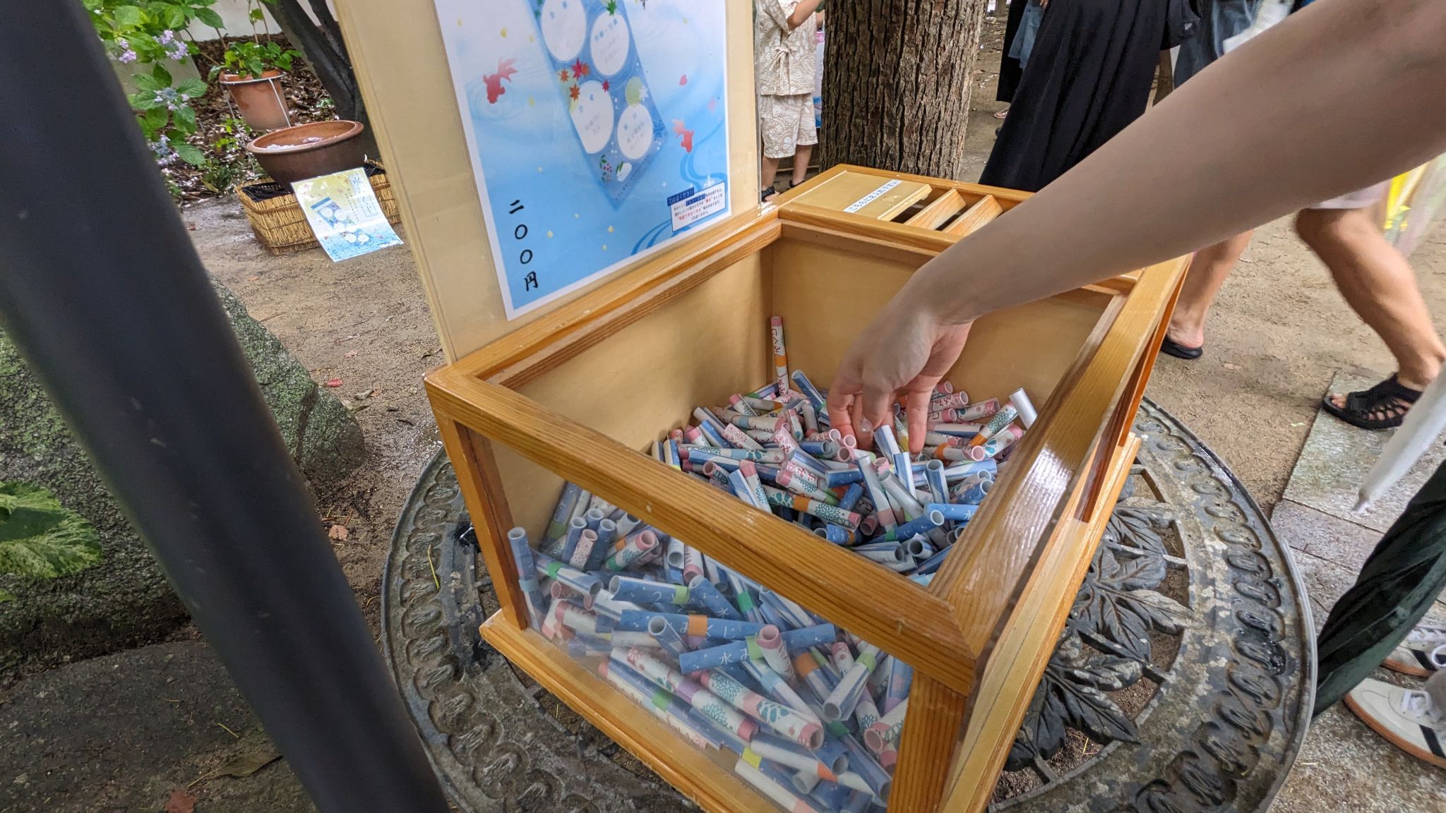 【元寇ゆかりの古社】箱崎で出会う歴史と紫陽花の旅日記