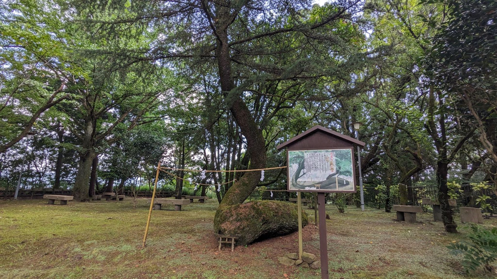 狭野神社 サムネイル 25