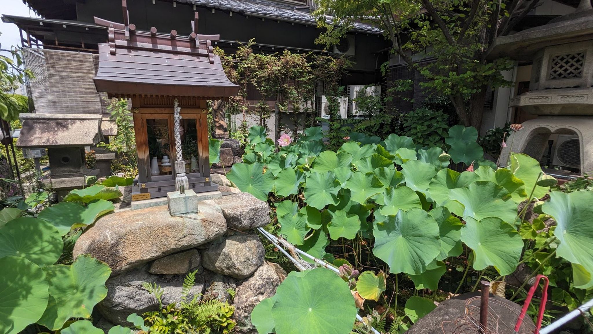 興徳寺 サムネイル 6