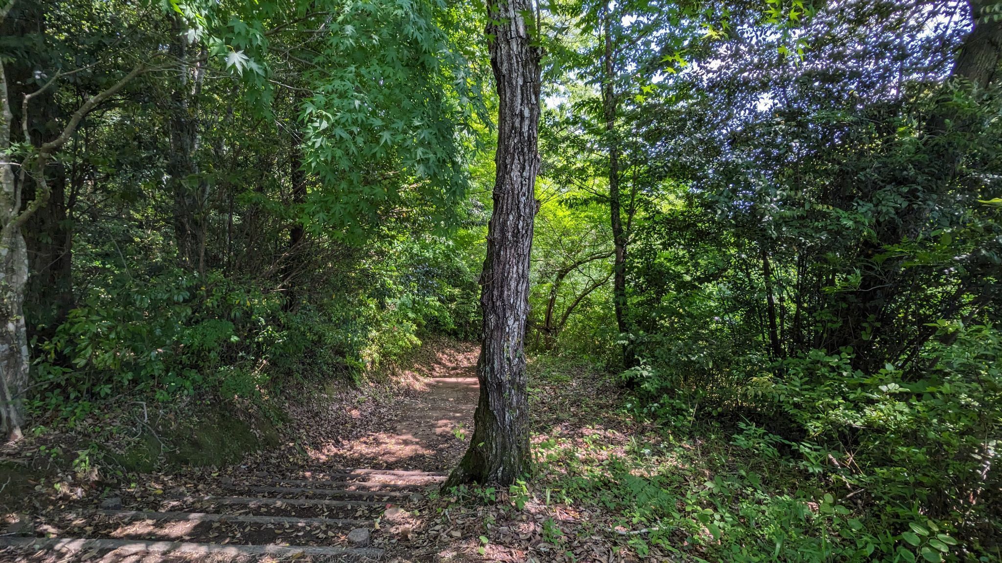和気公園展望台 サムネイル 4