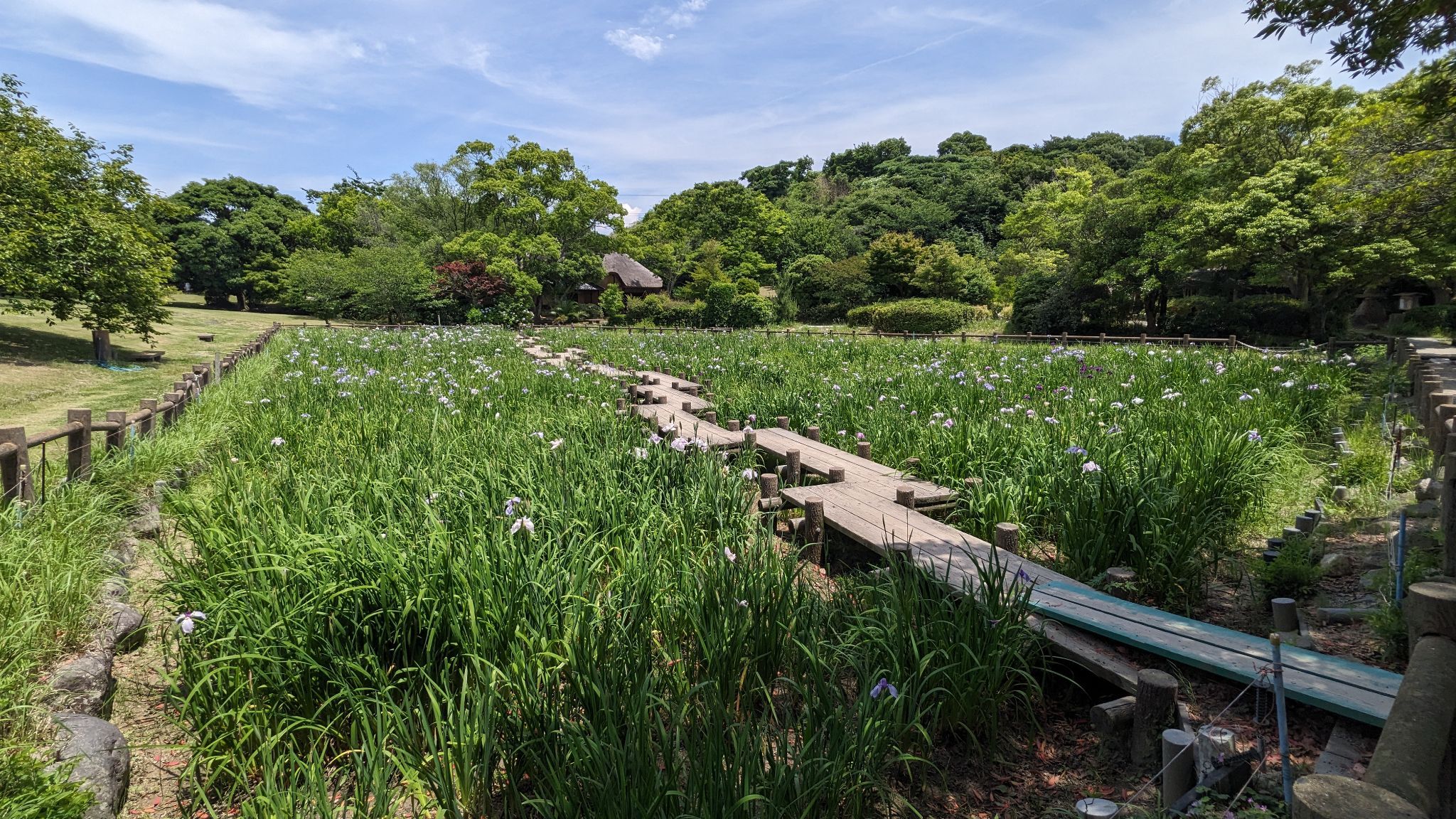 江戸菖蒲苑