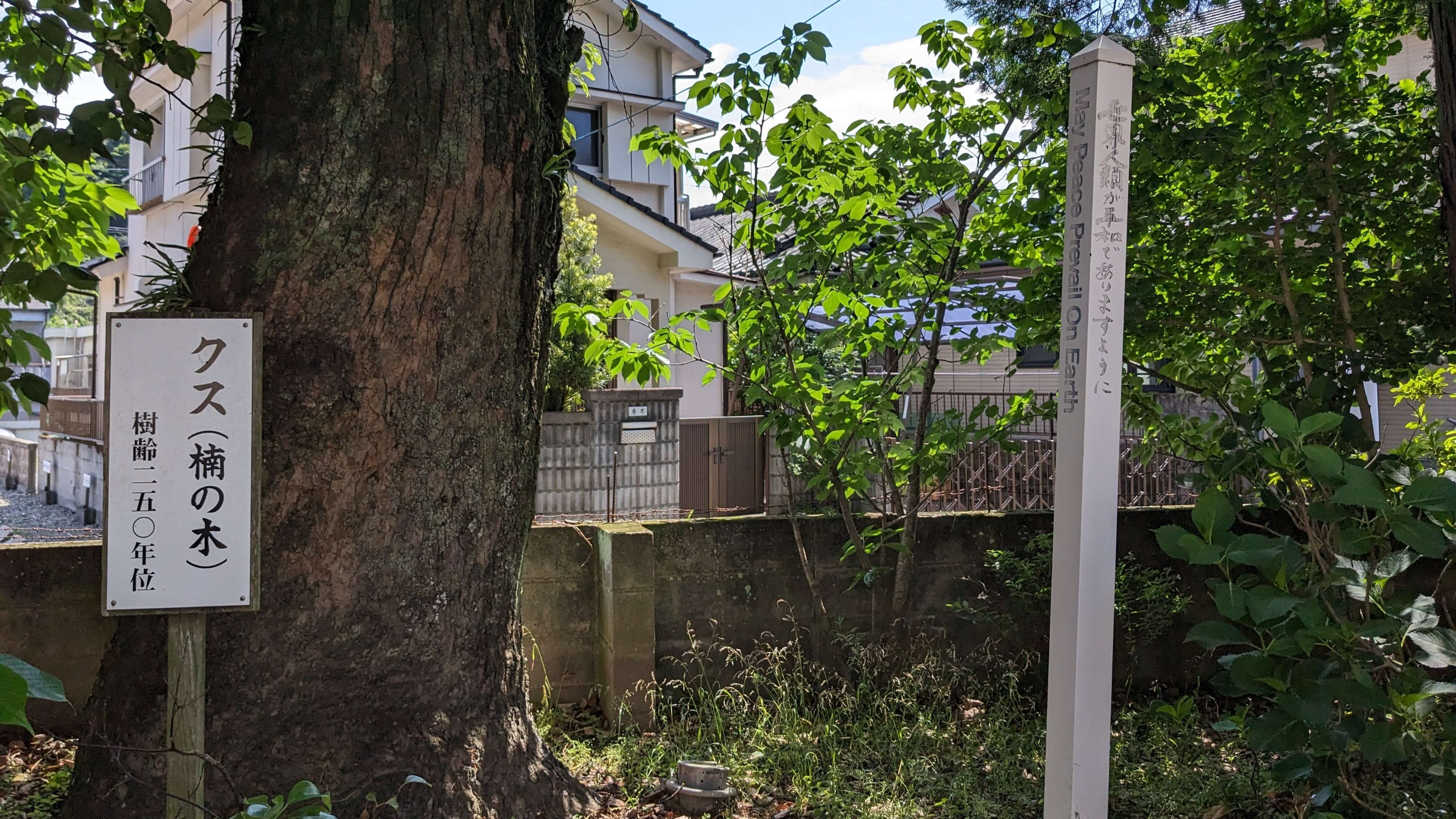 天之御中主神社 サムネイル 7
