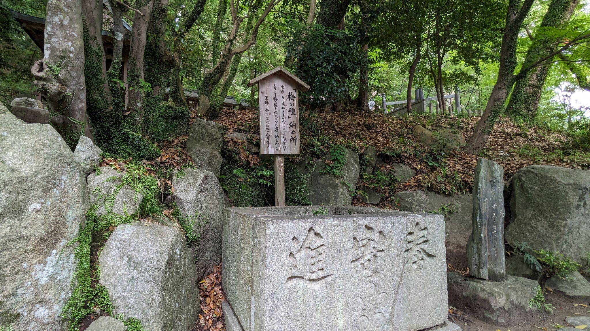梅の種納め所