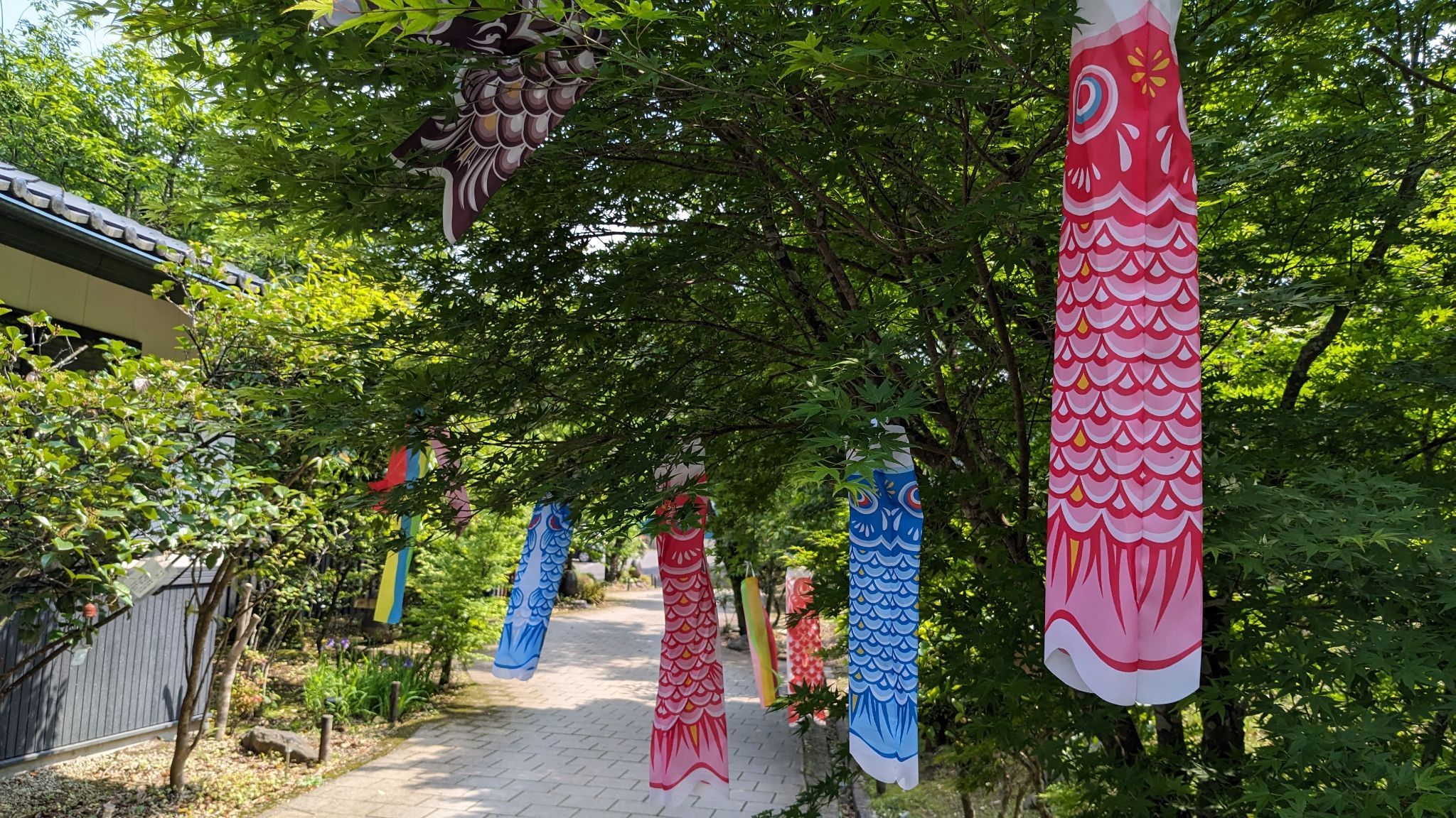 かれい川の湯 サムネイル 3