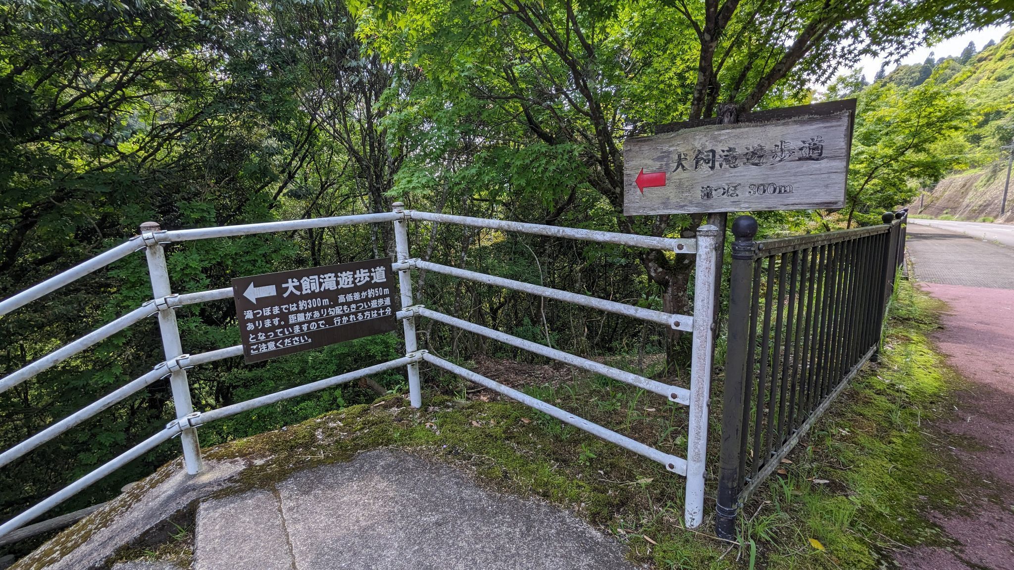 犬飼滝遊歩道