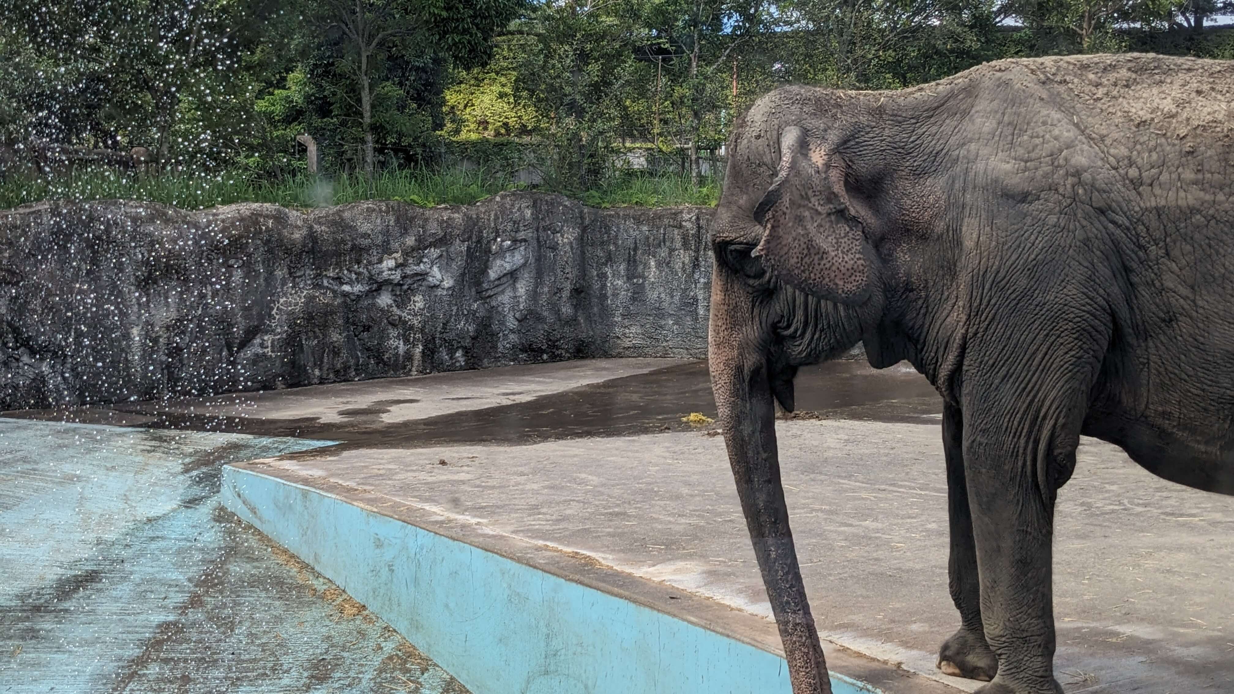 鹿児島市平川動物公園 サムネイル 5