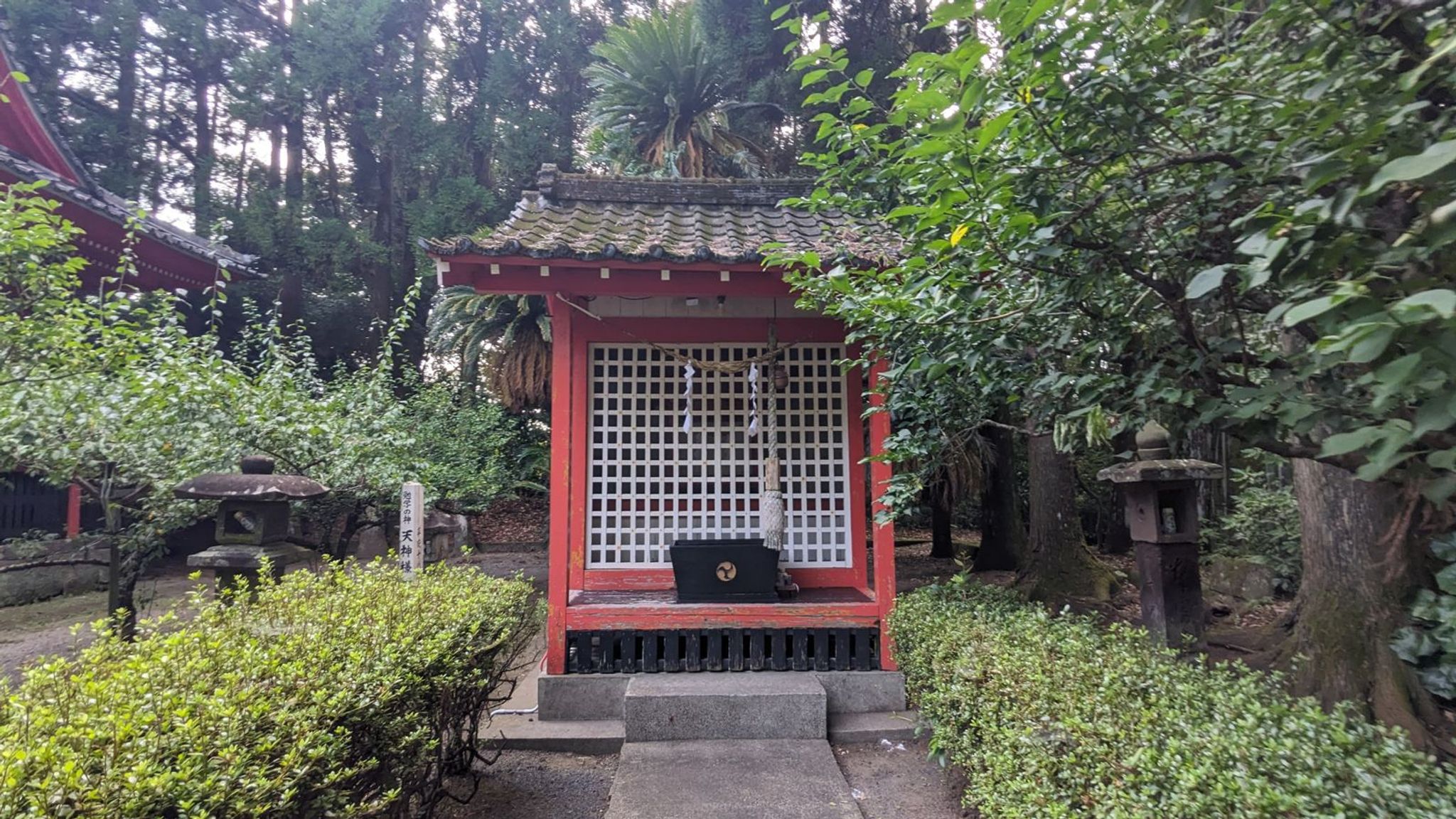 天神様 サムネイル 4