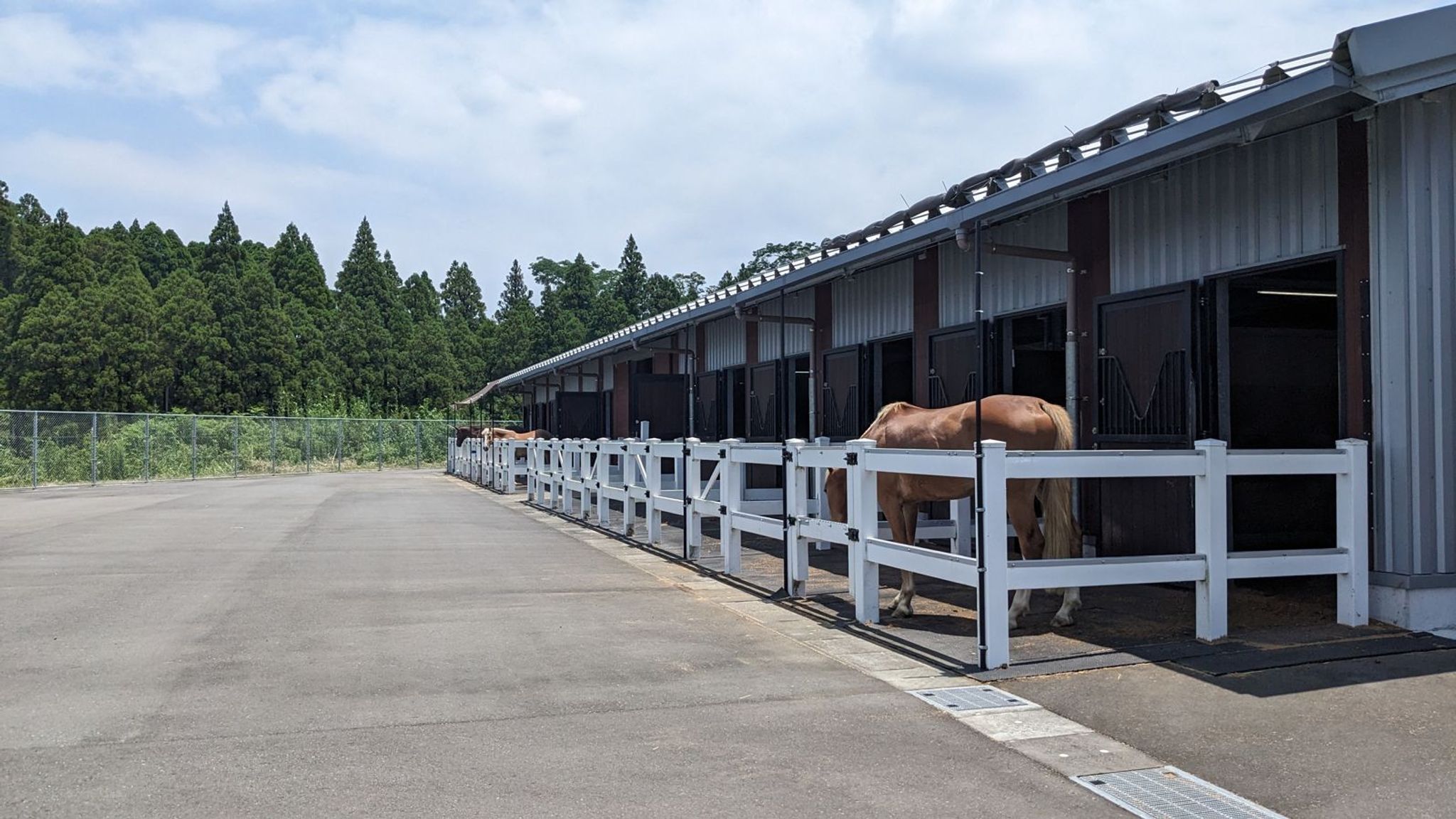 カナディアンキャンプ乗馬クラブ SOO サムネイル 2