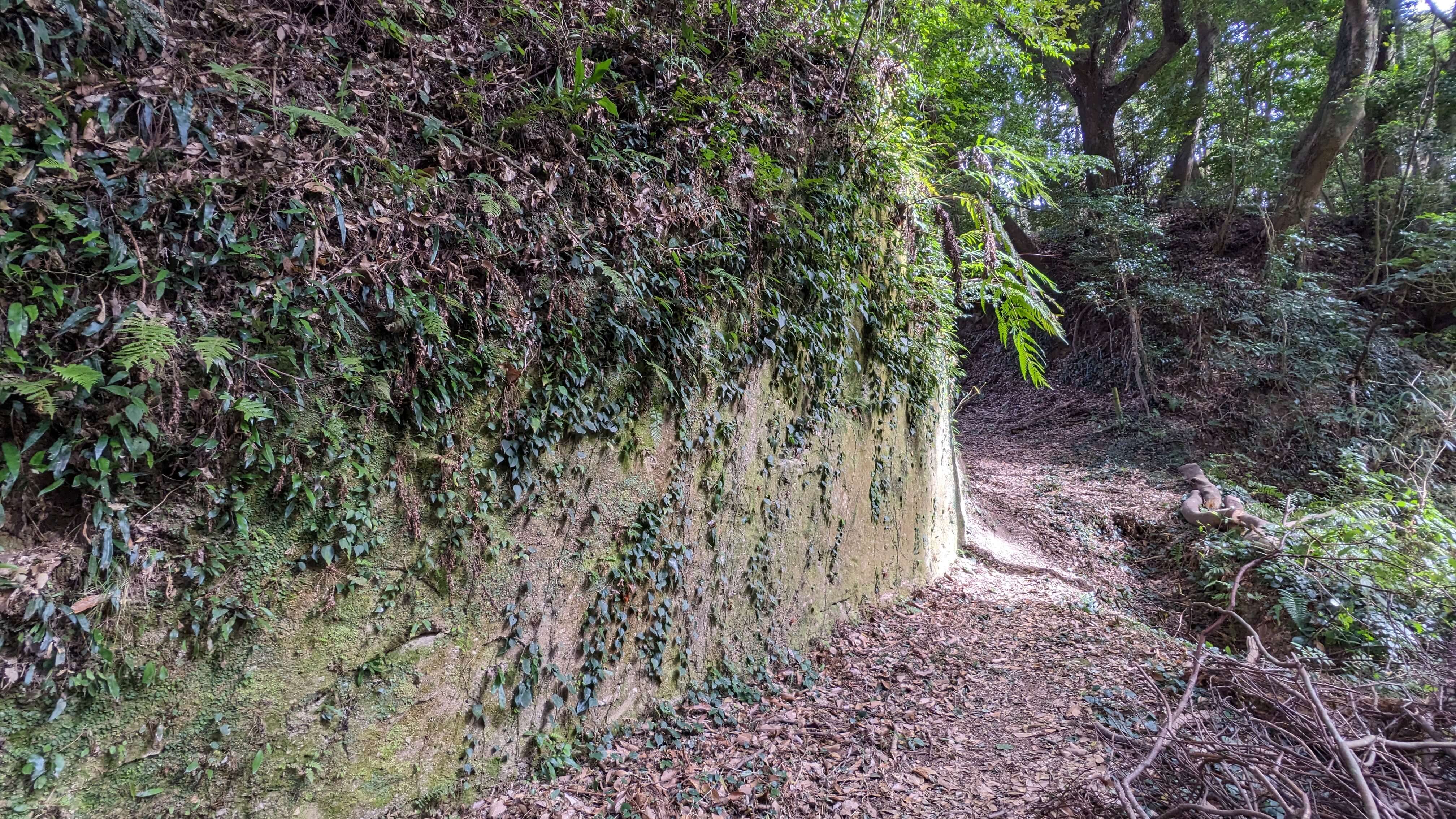 志布志城址（内城）跡 サムネイル 5