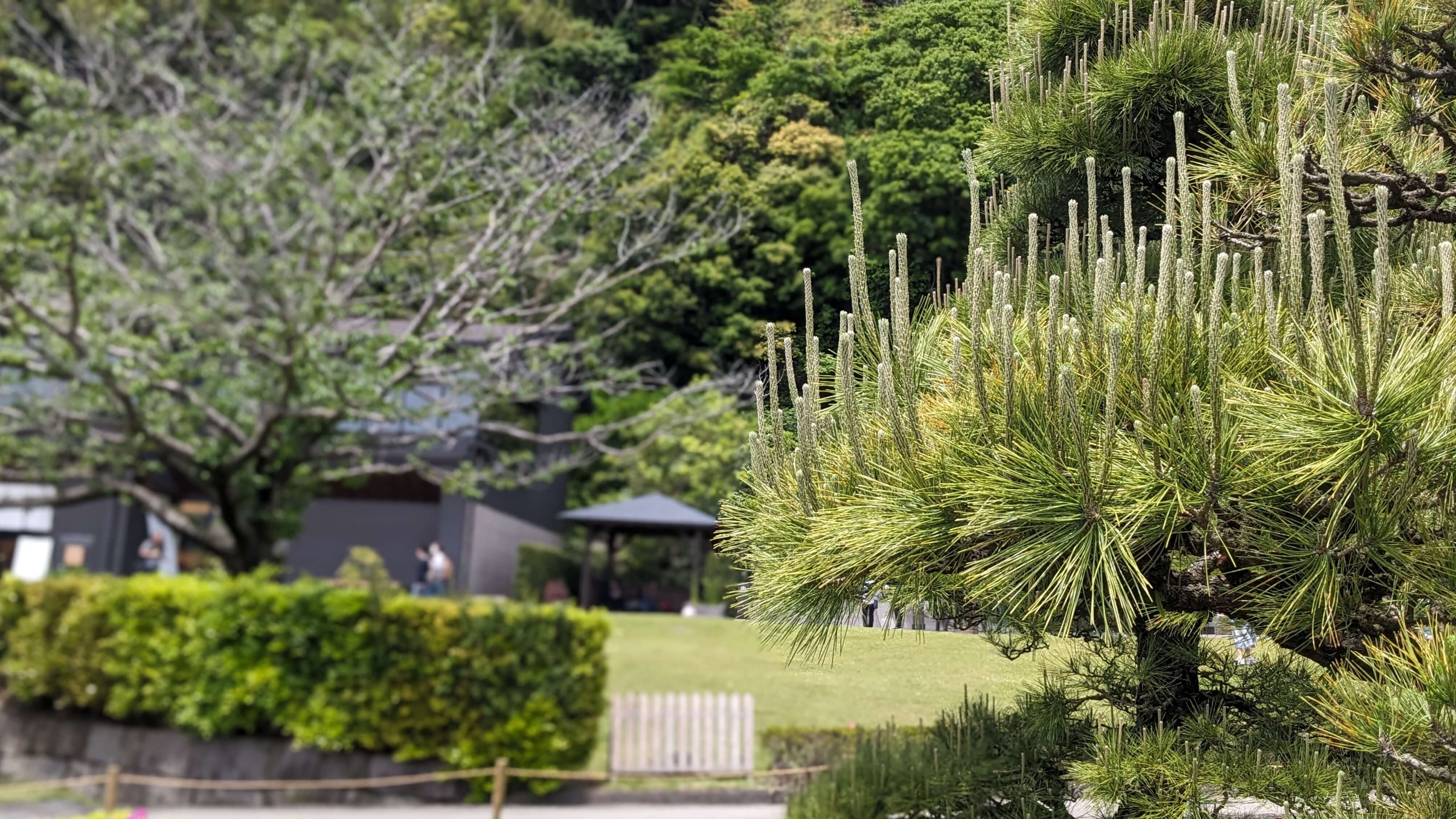 名勝仙巖園 サムネイル 3