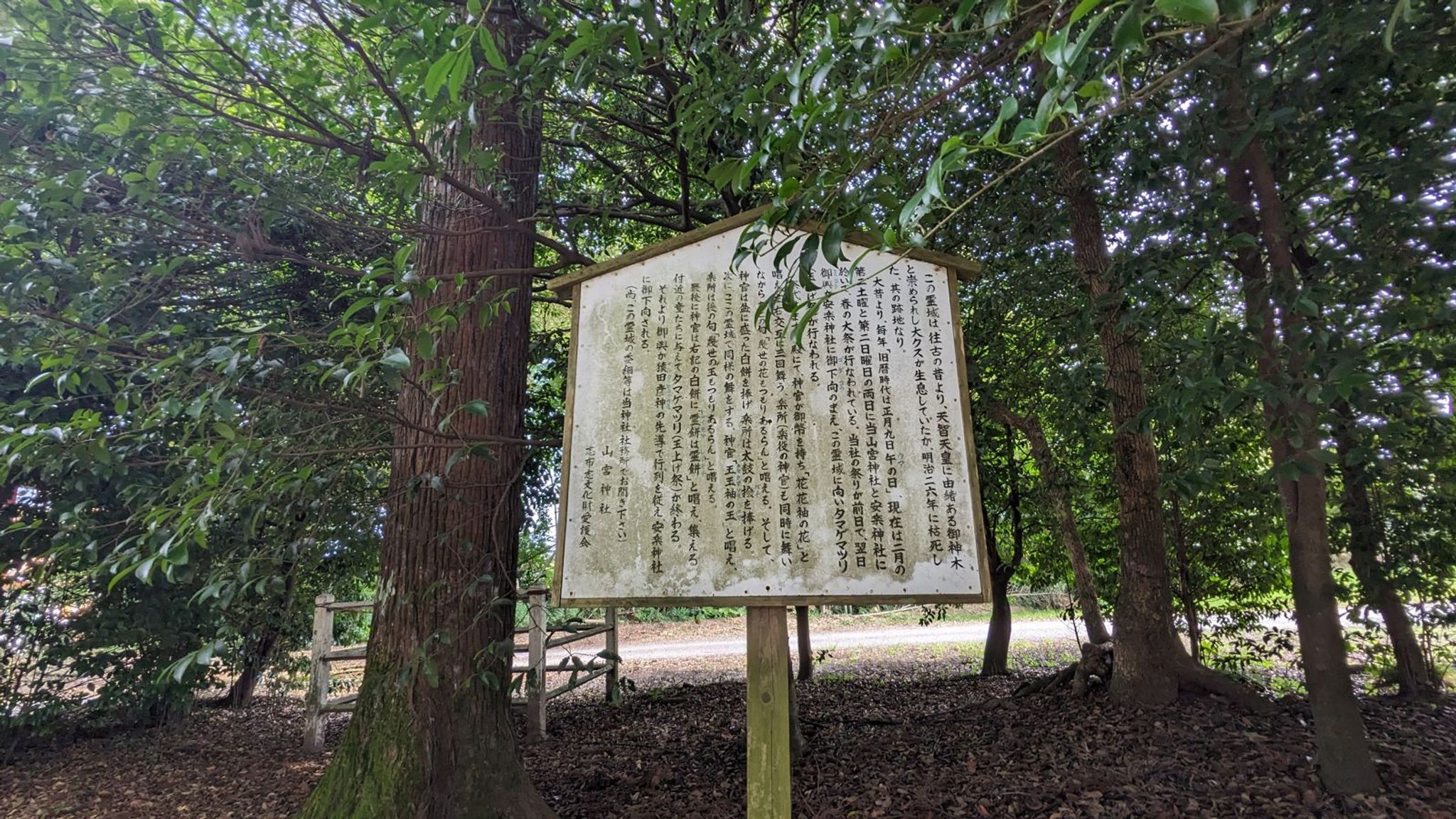 山宮神社 サムネイル 2