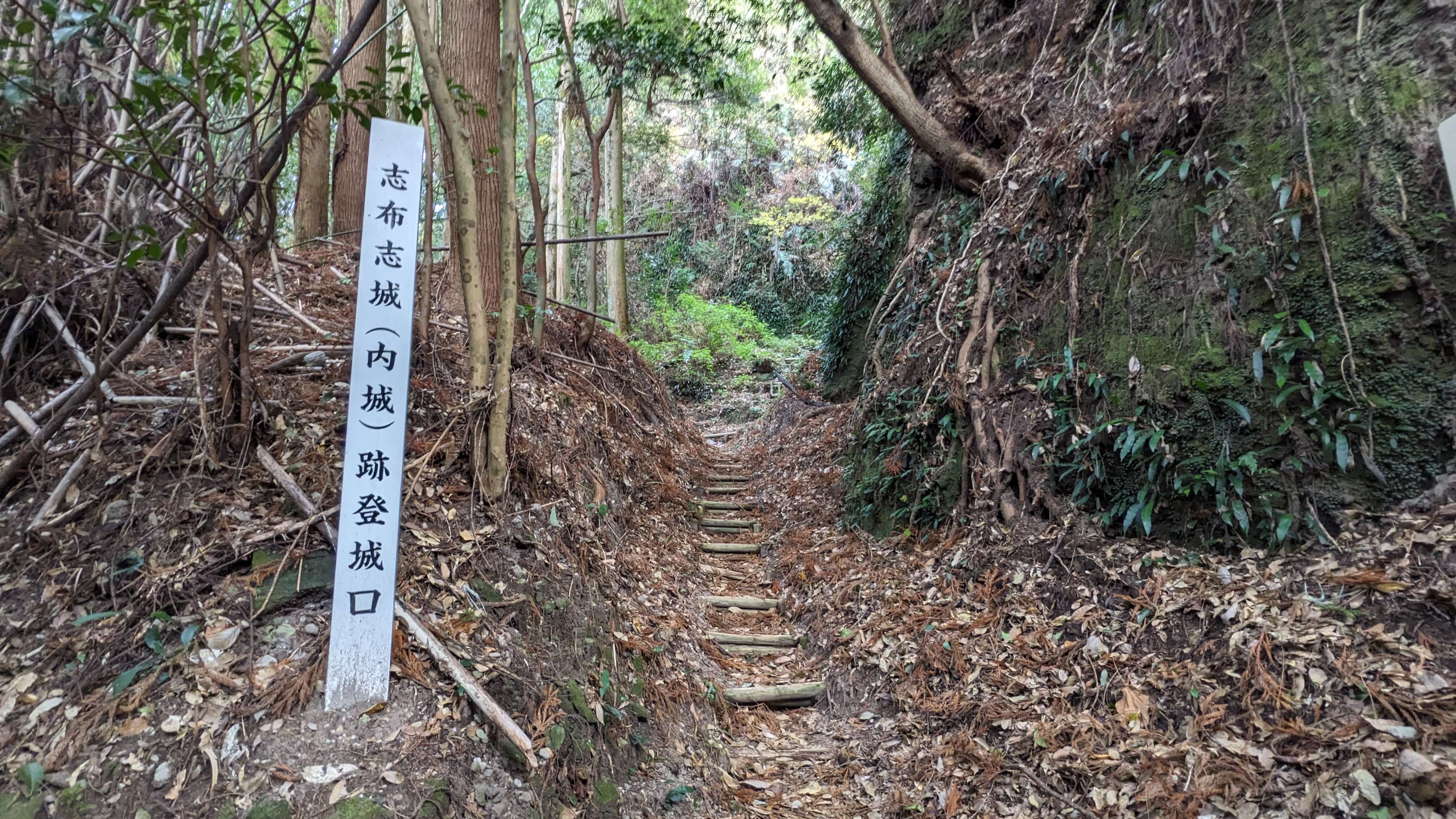 【志布志城跡】志布志の歴史を歩く旅 〜若宮神社から志布志城跡まで〜