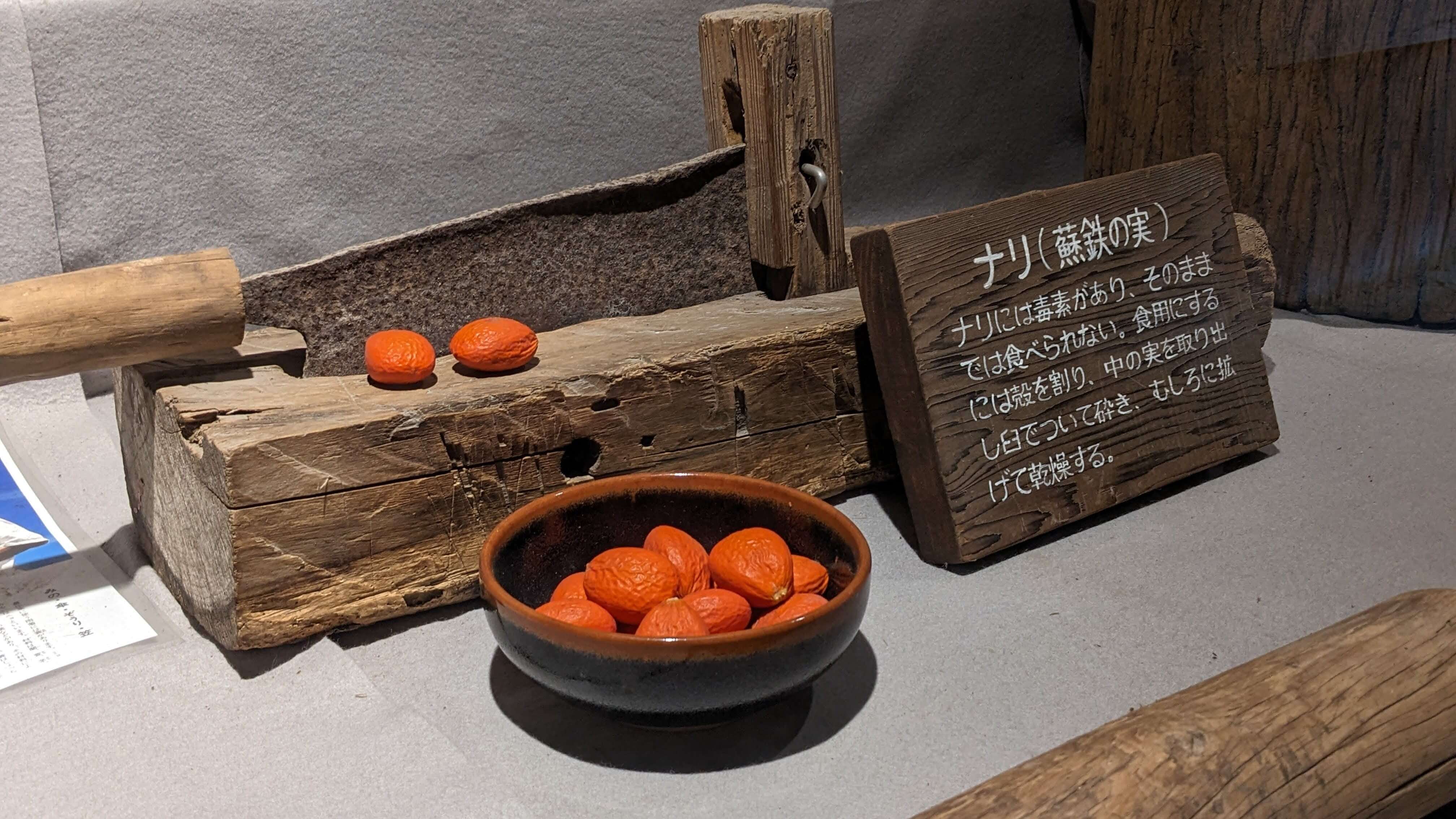 南国特有の植物 1
