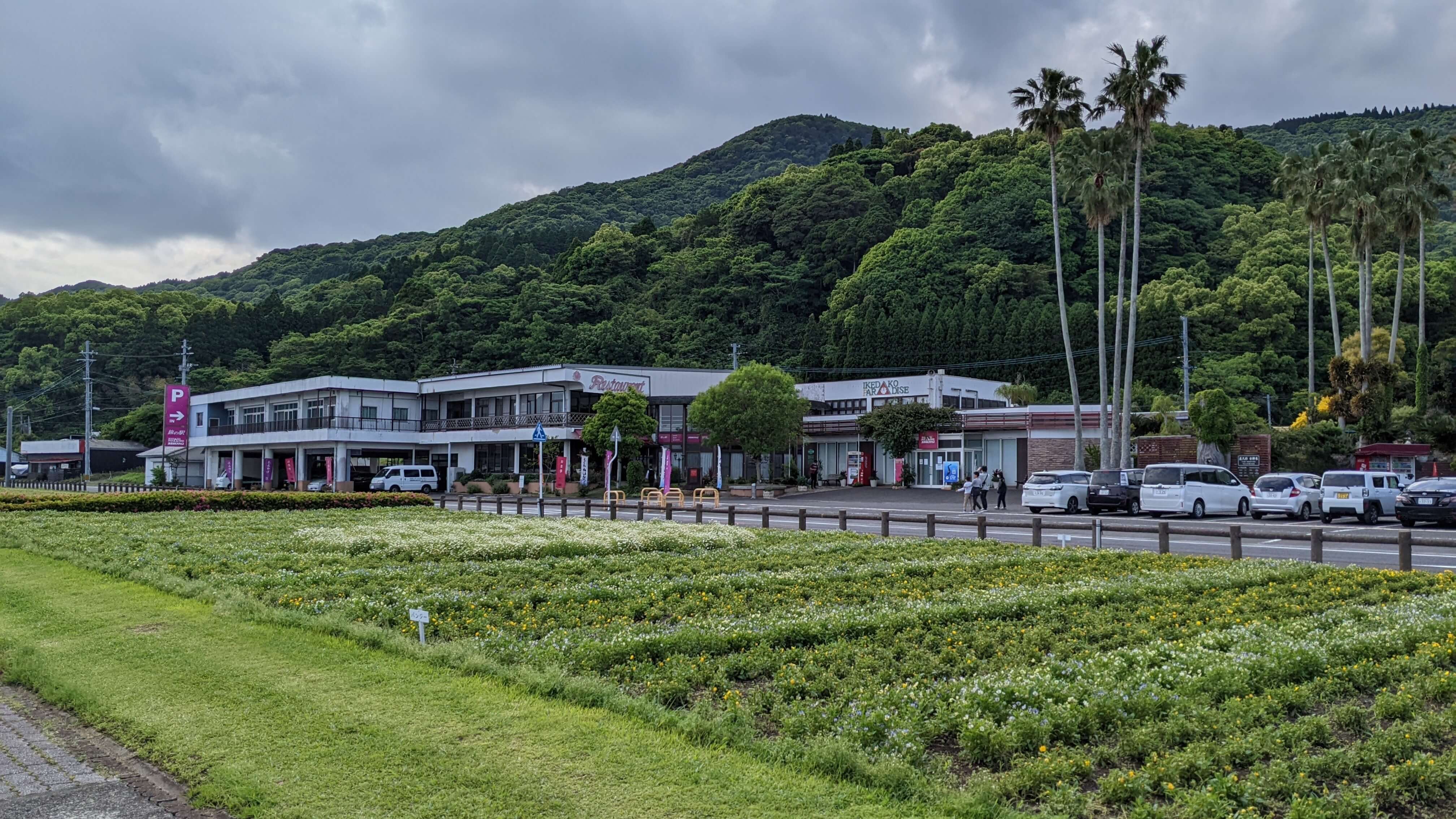 池田湖 遊園地 花壇 サムネイル 2