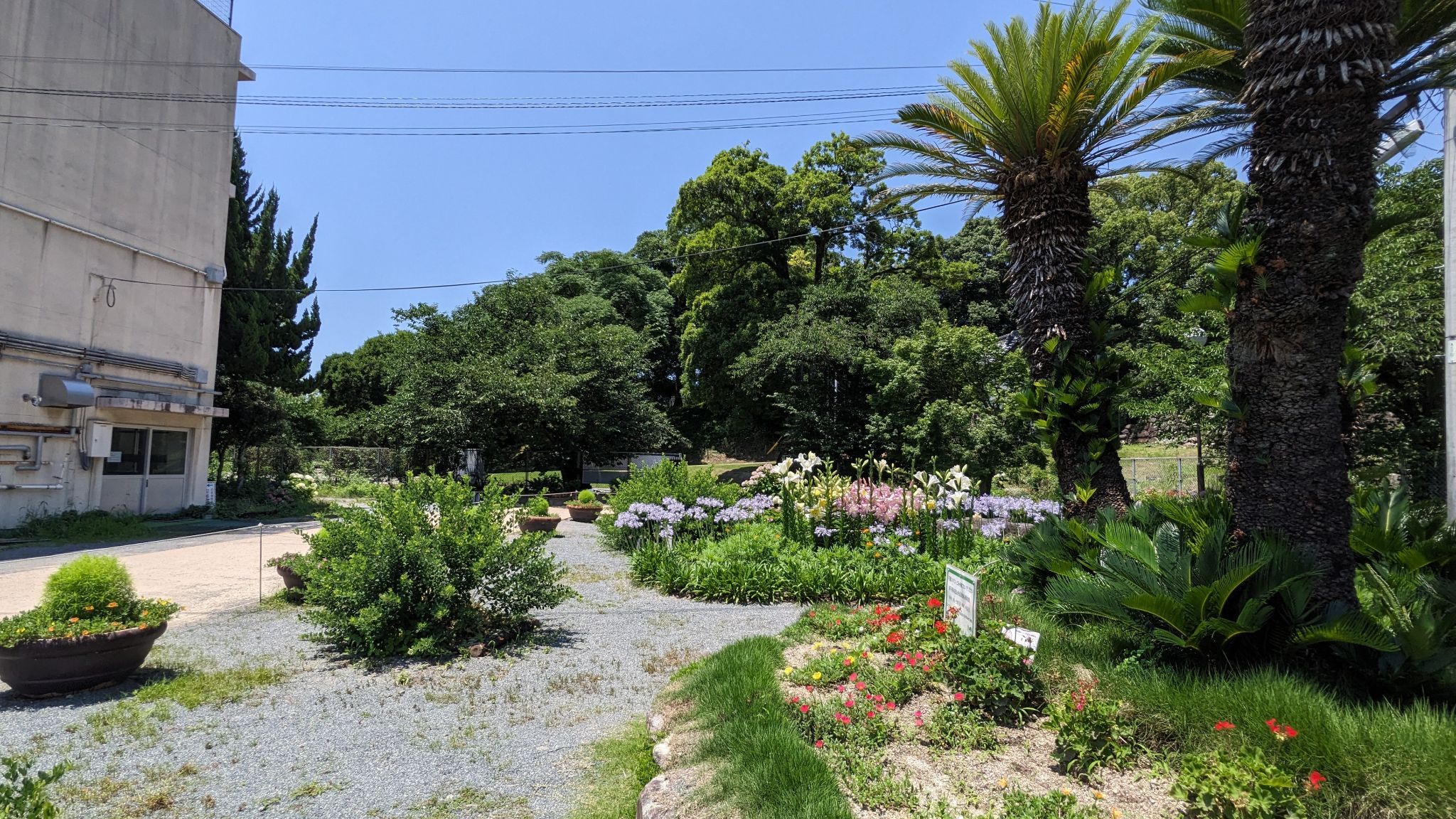 前の庭園