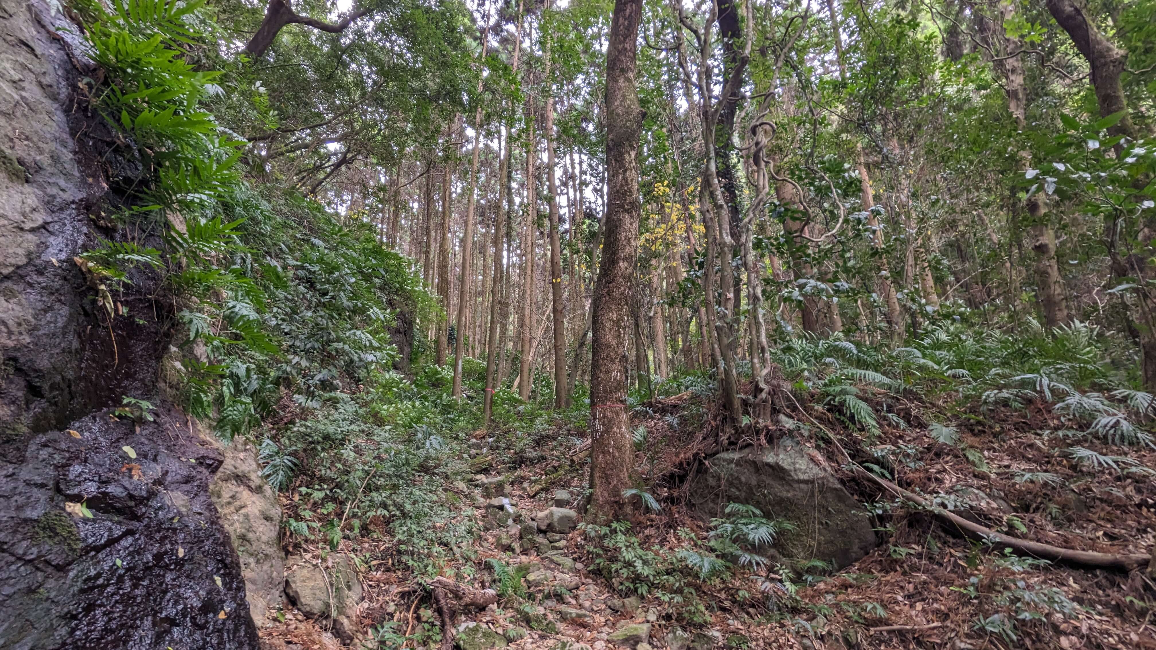 岩剣城跡 サムネイル 8