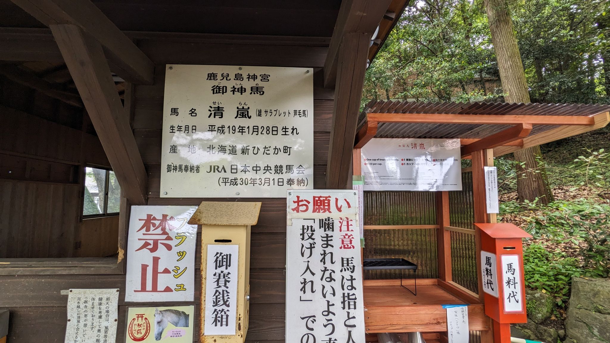 御神馬 サムネイル 4