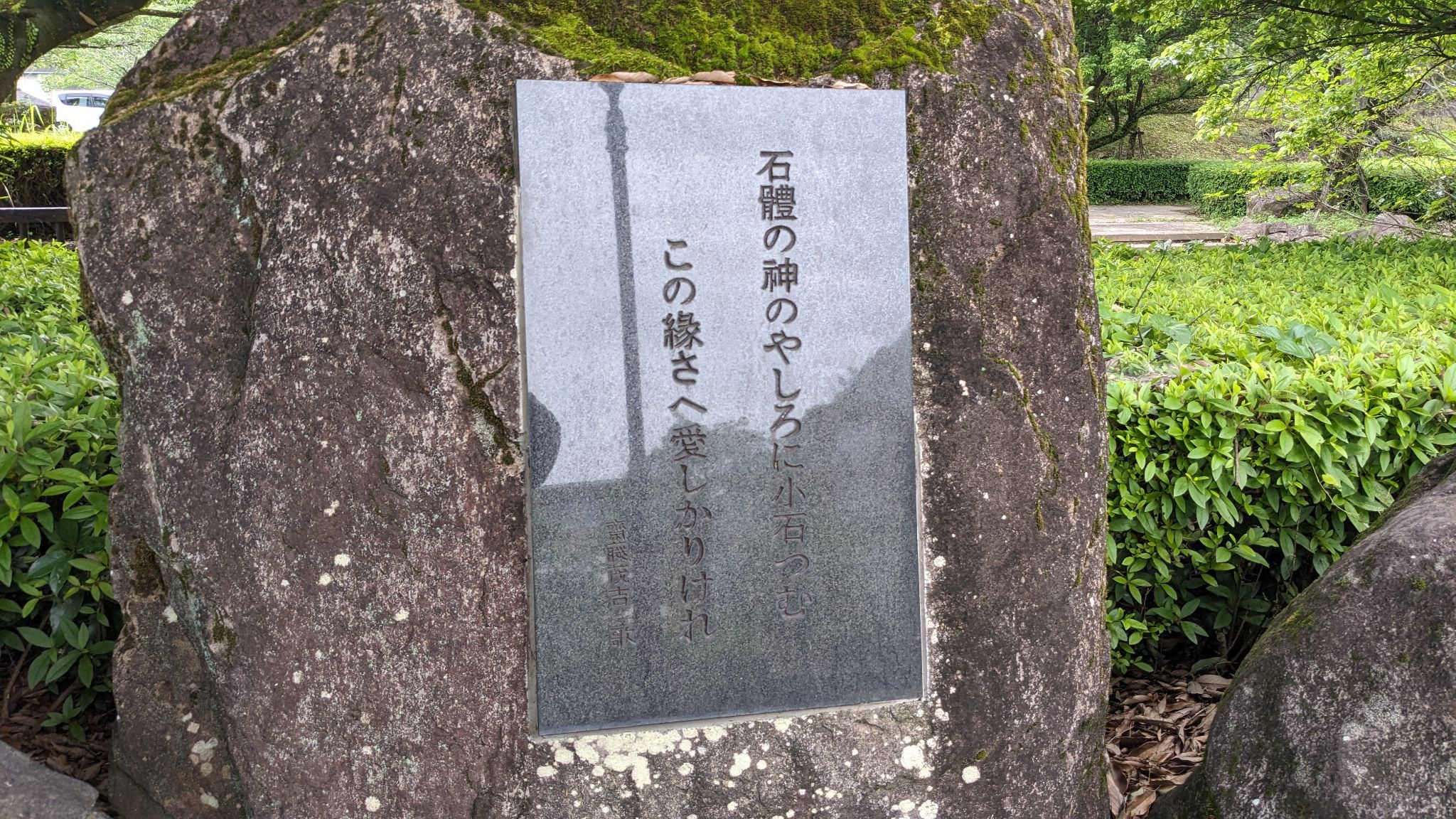 宮の杜ふれあい公園 サムネイル 6
