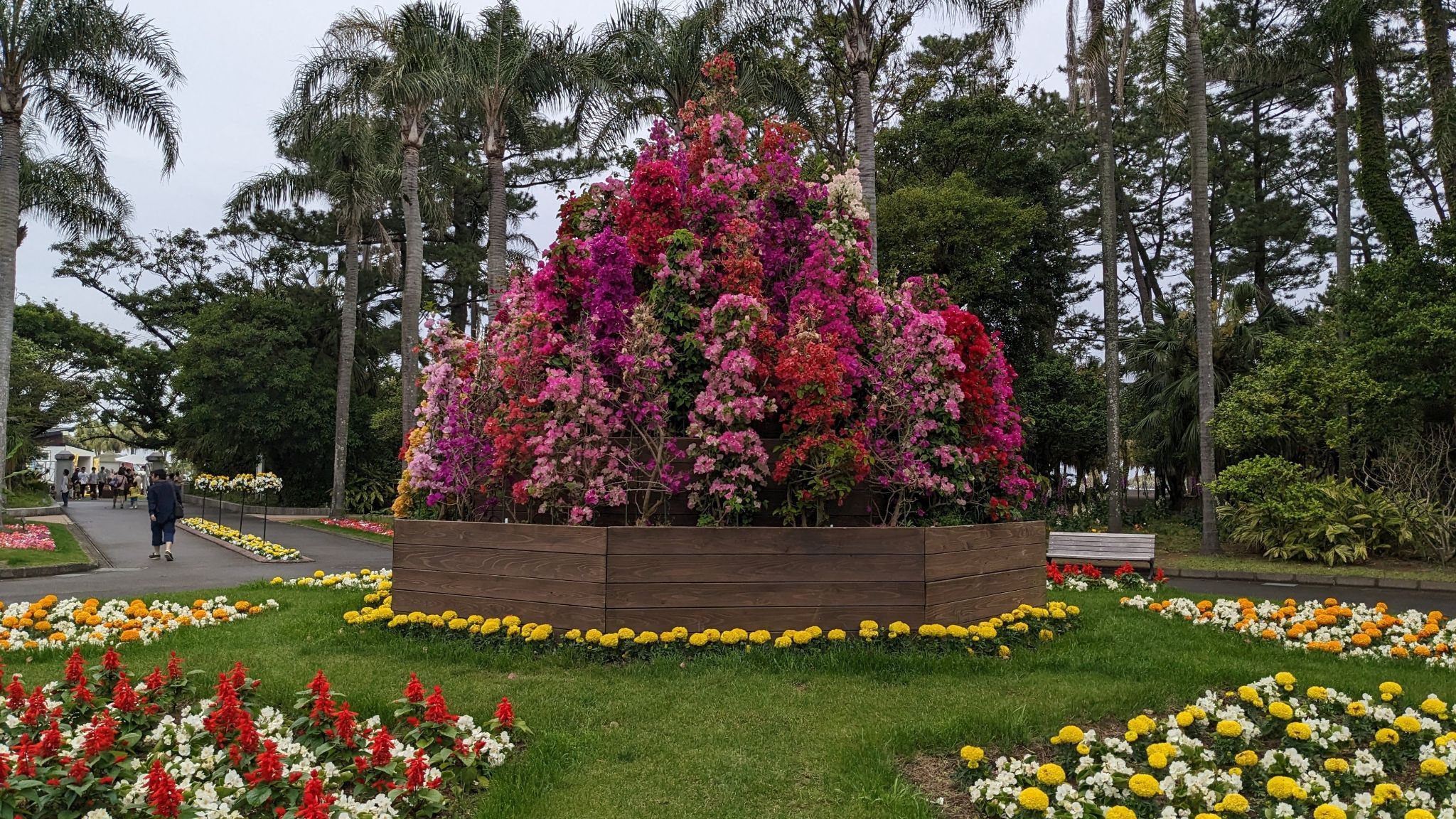 宮交ボタニックガーデン青島(県立青島亜熱帯植物園) 1