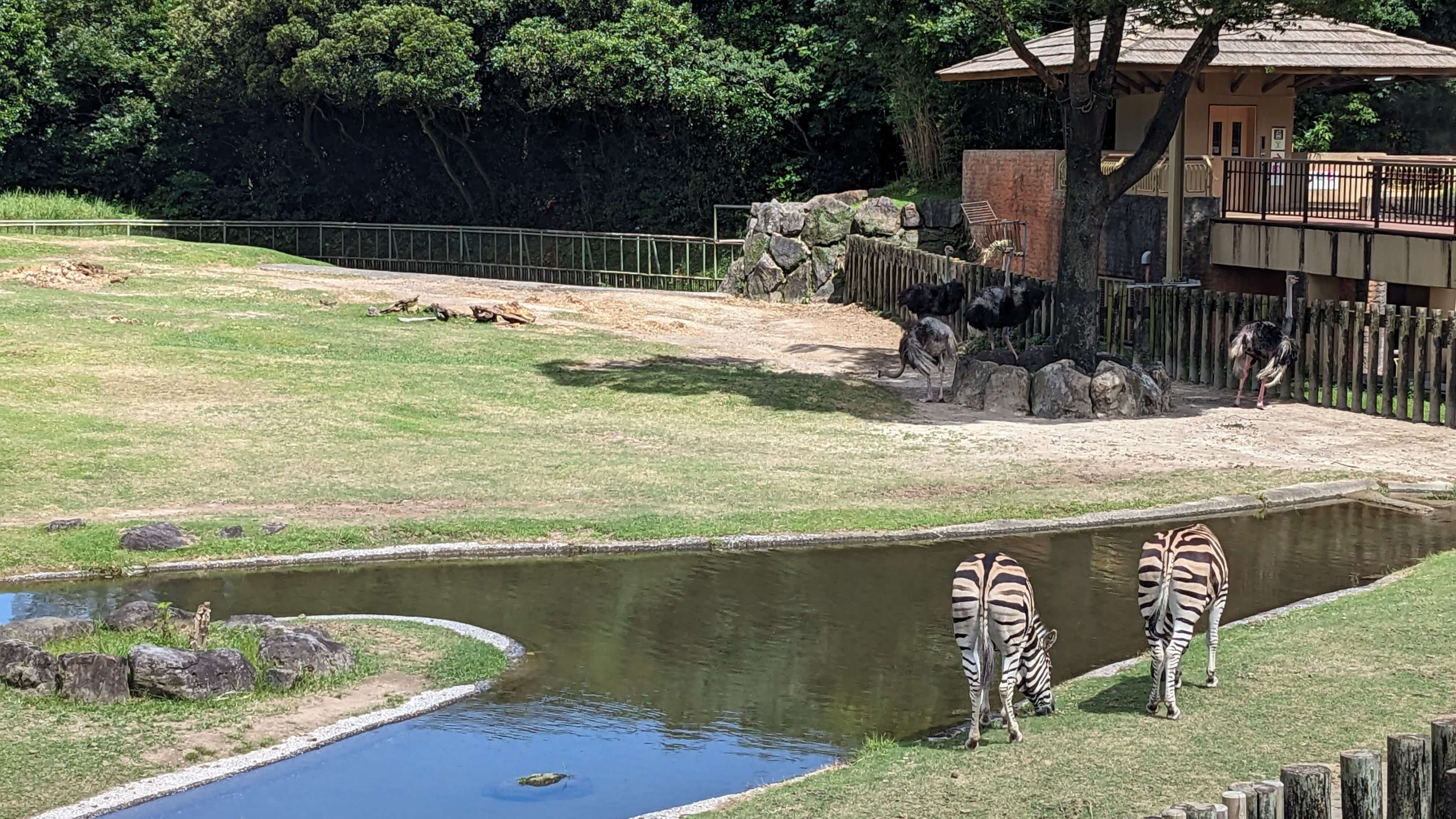 景色が素晴らしい サムネイル 3
