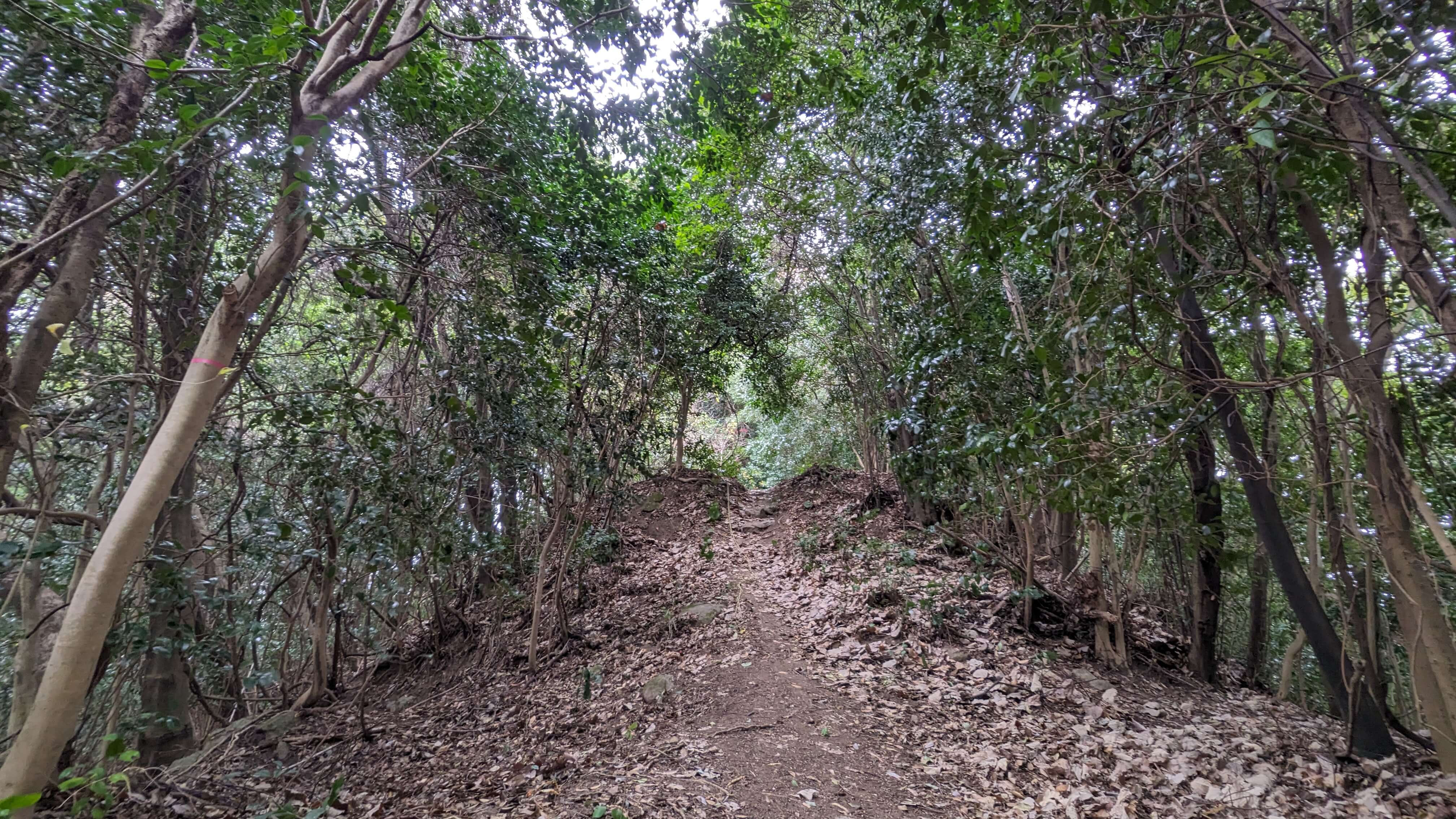 岩剣城跡 サムネイル 10