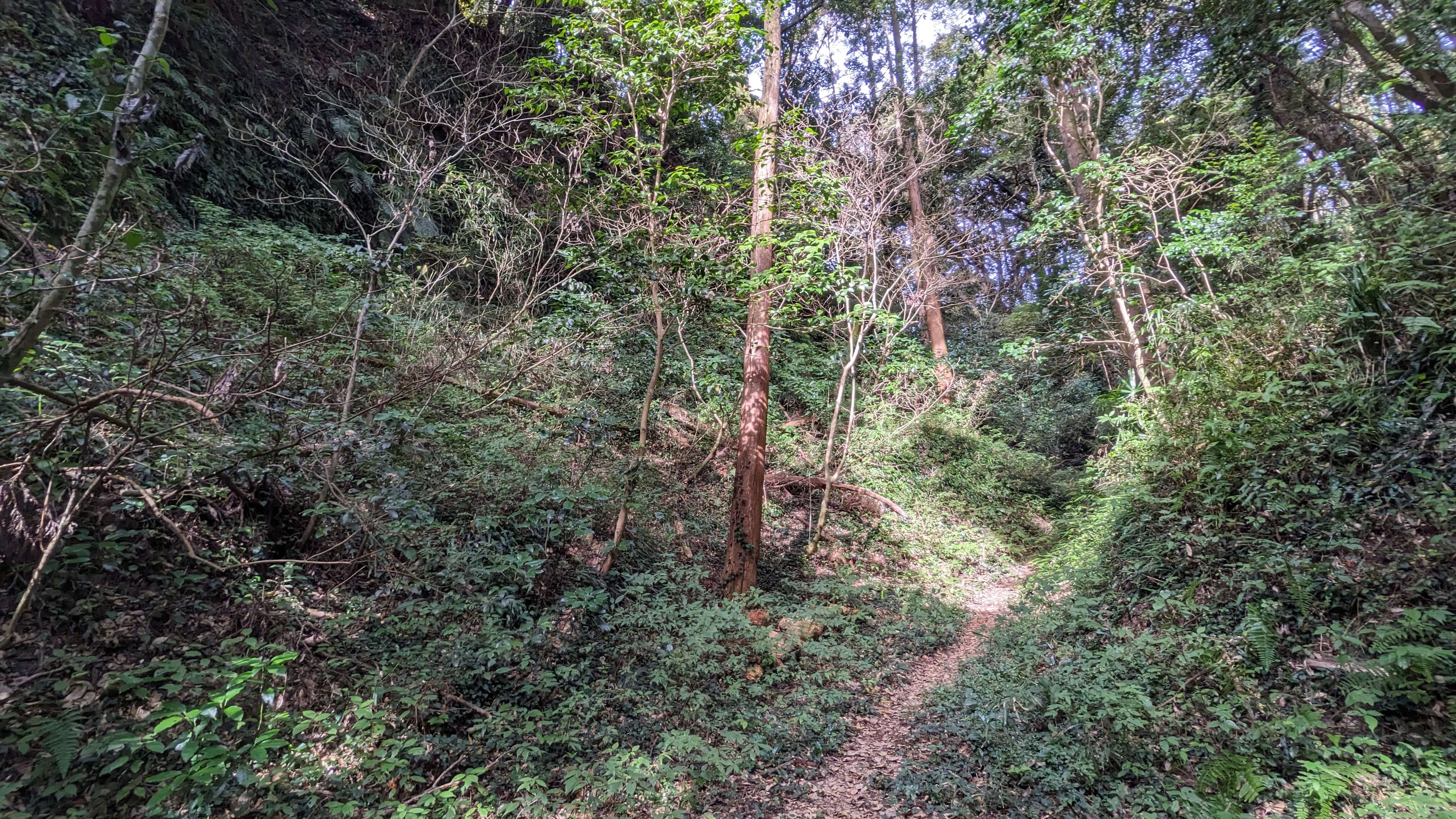 志布志城址（内城）跡 サムネイル 4