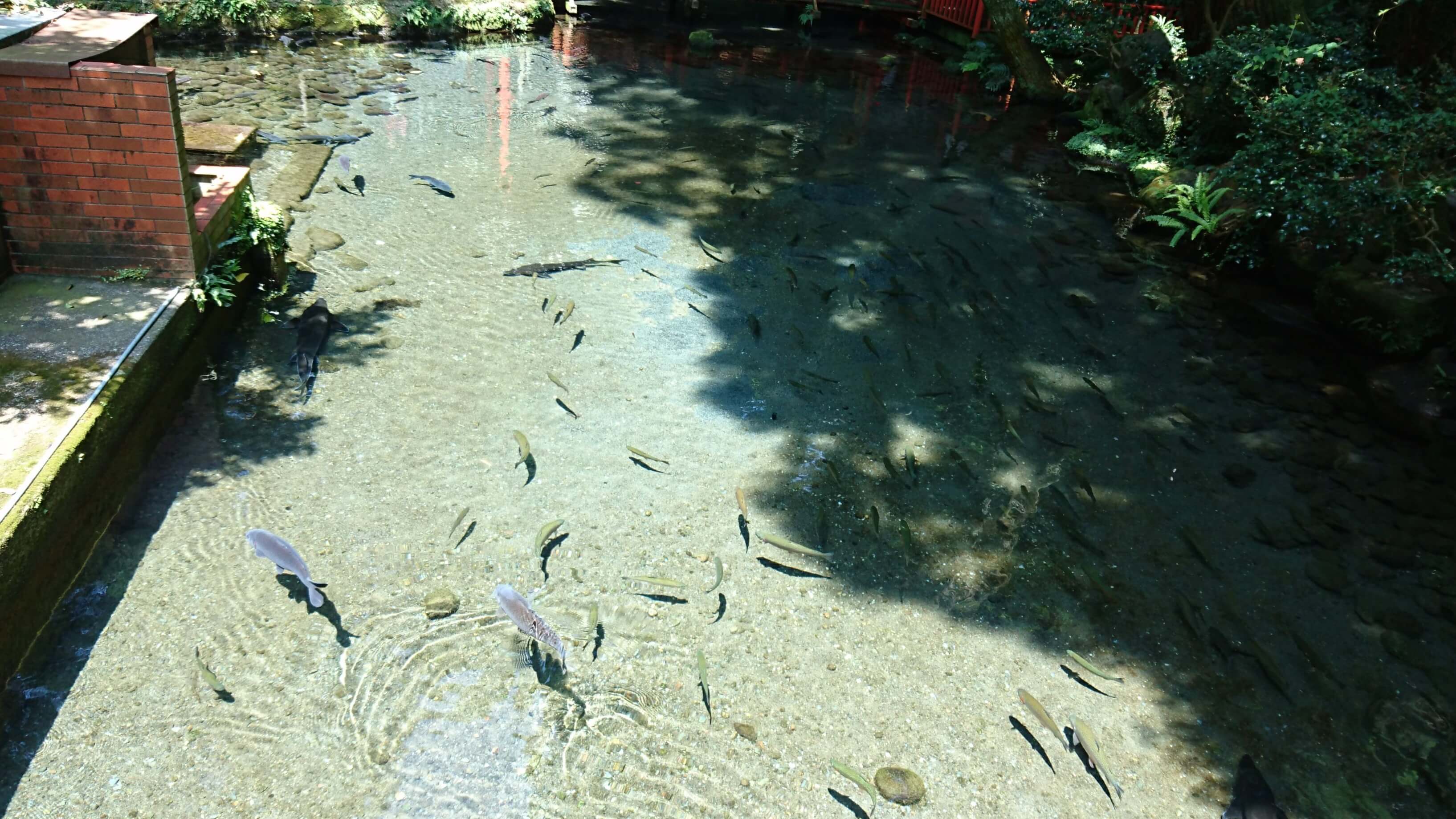 唐船峡公園(京田湧水) サムネイル 4