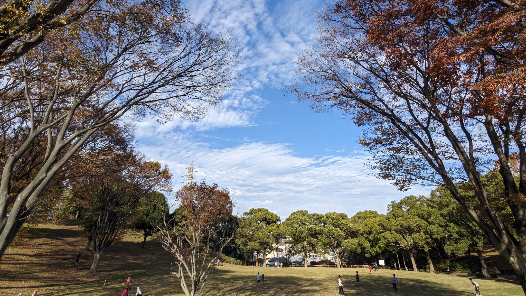 清水ケ丘公園