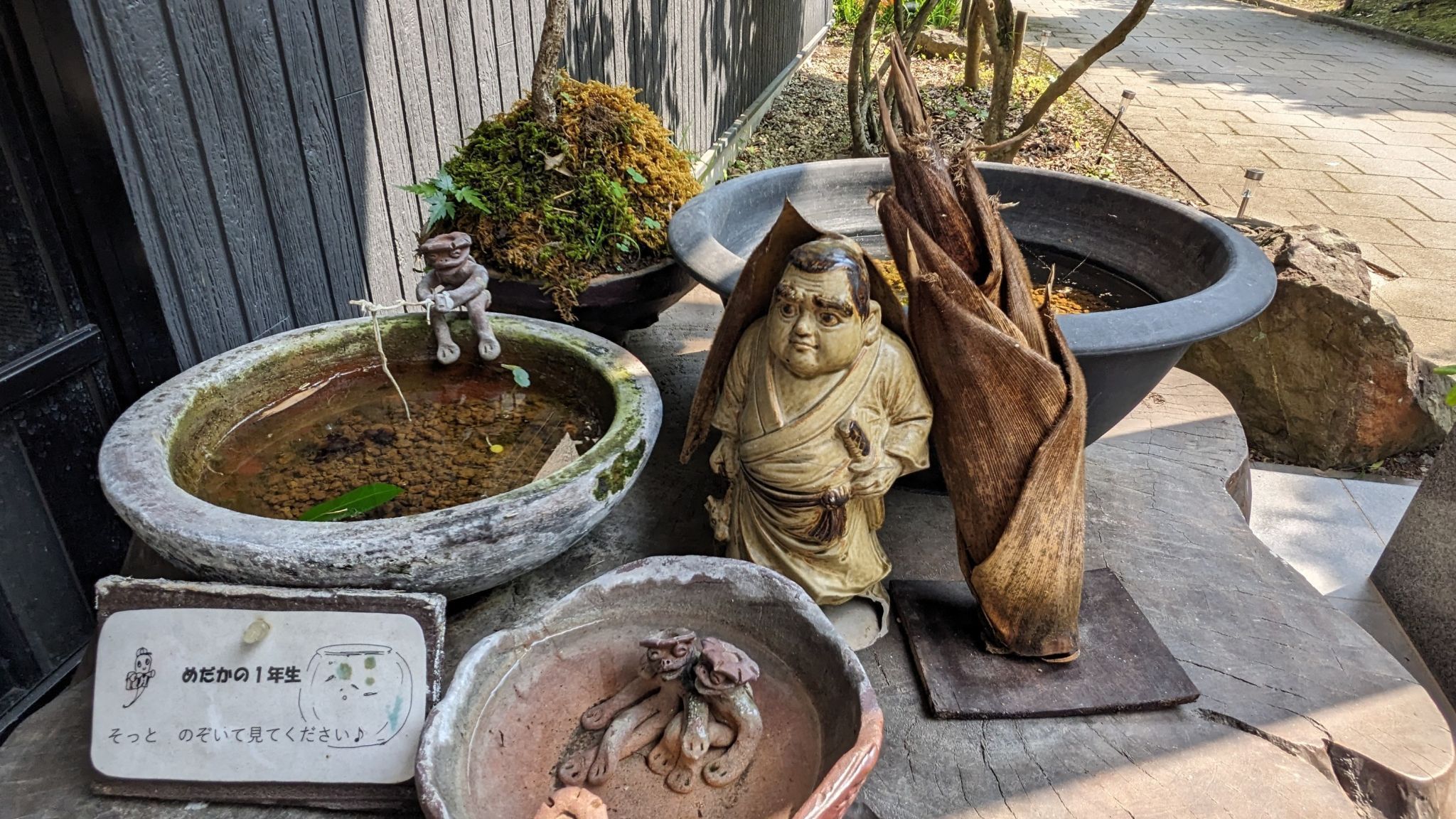 かれい川の湯 サムネイル 4