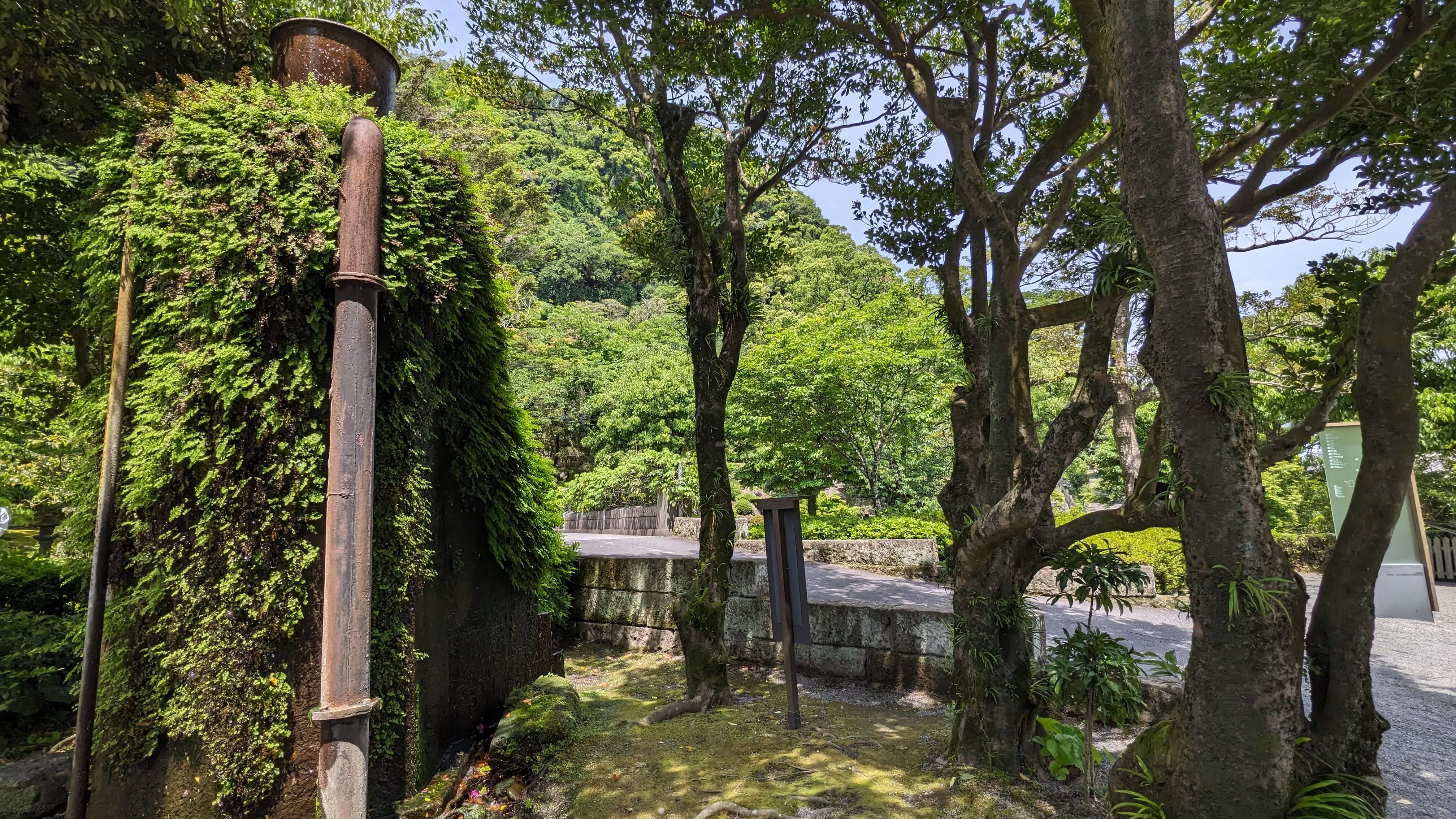 高枡 サムネイル 2