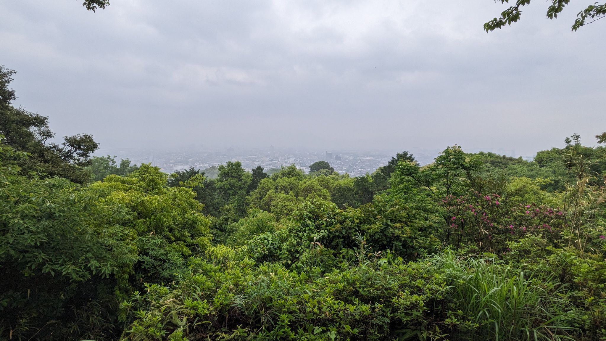 都道府県