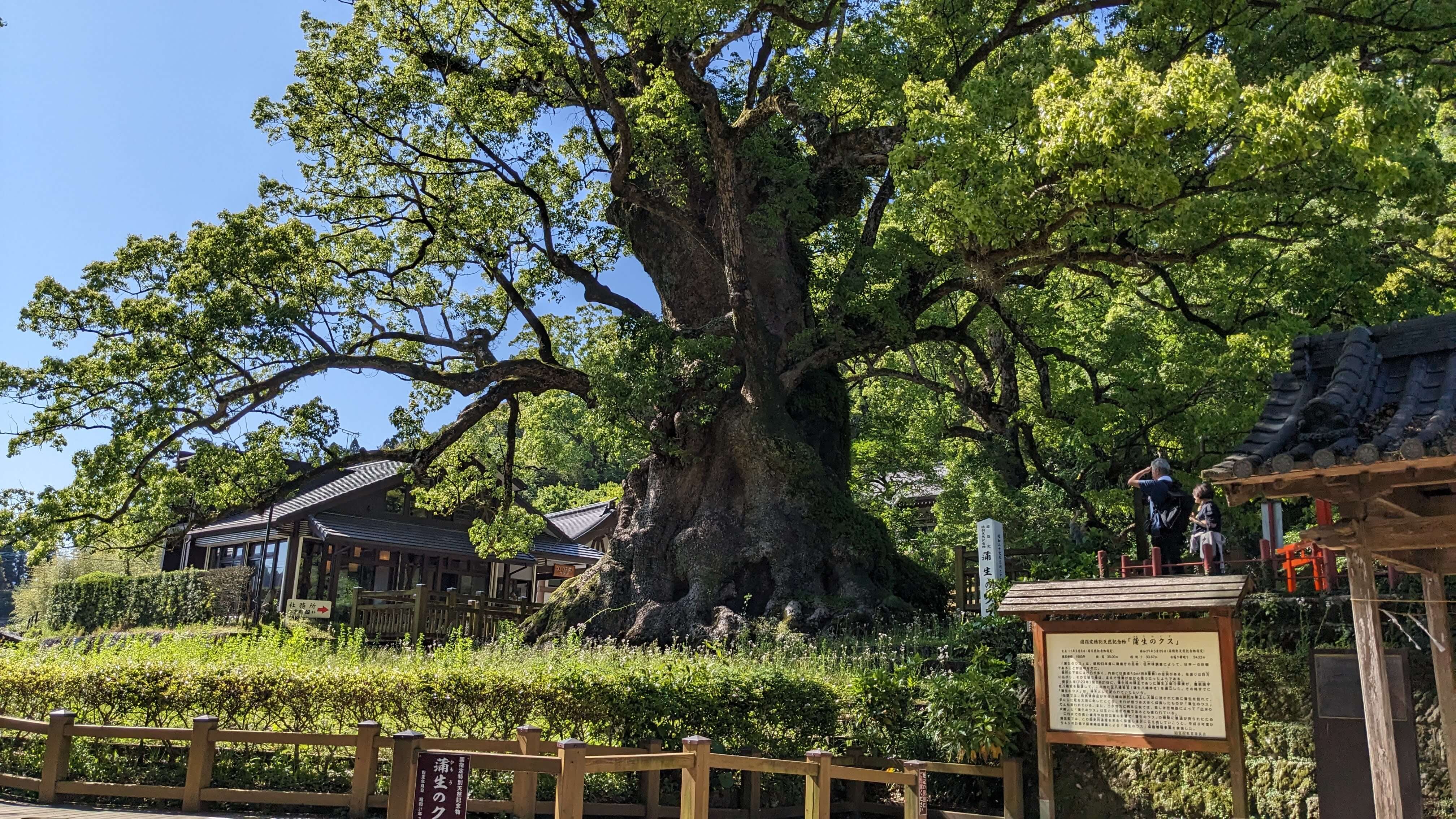 蒲生八幡神社 サムネイル 18