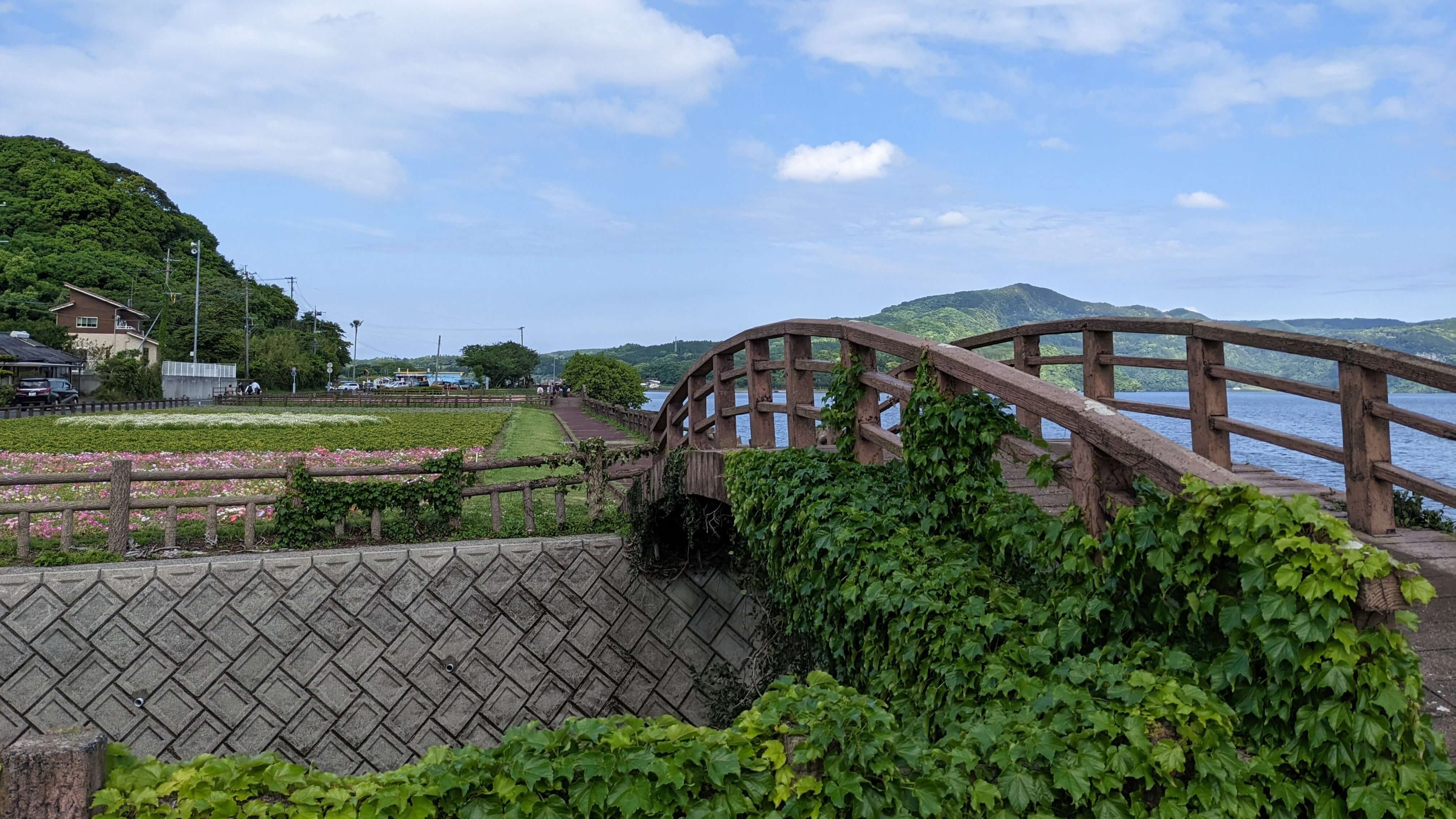 池田湖 遊園地 花壇 サムネイル 4