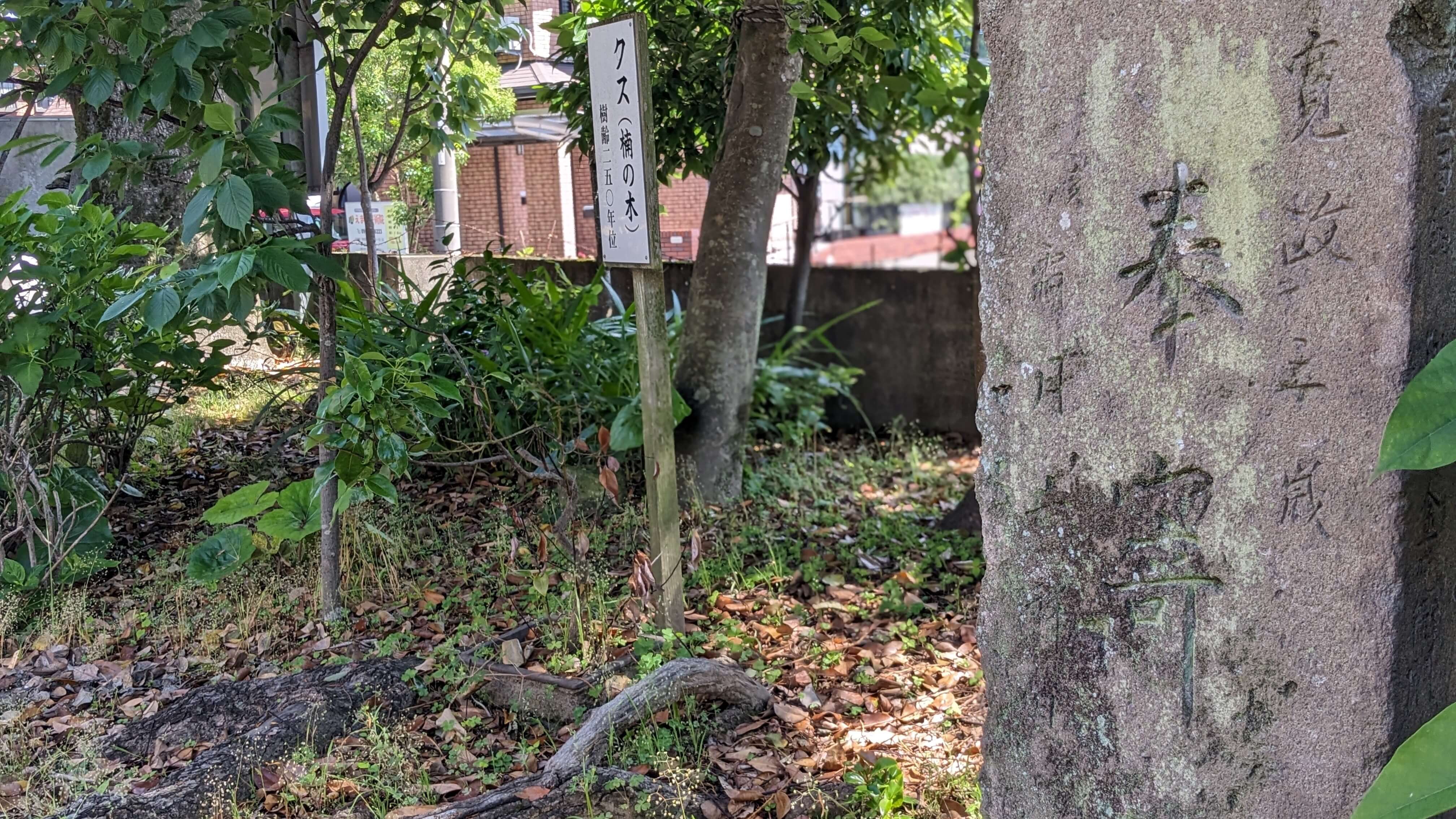 天之御中主神社 サムネイル 9