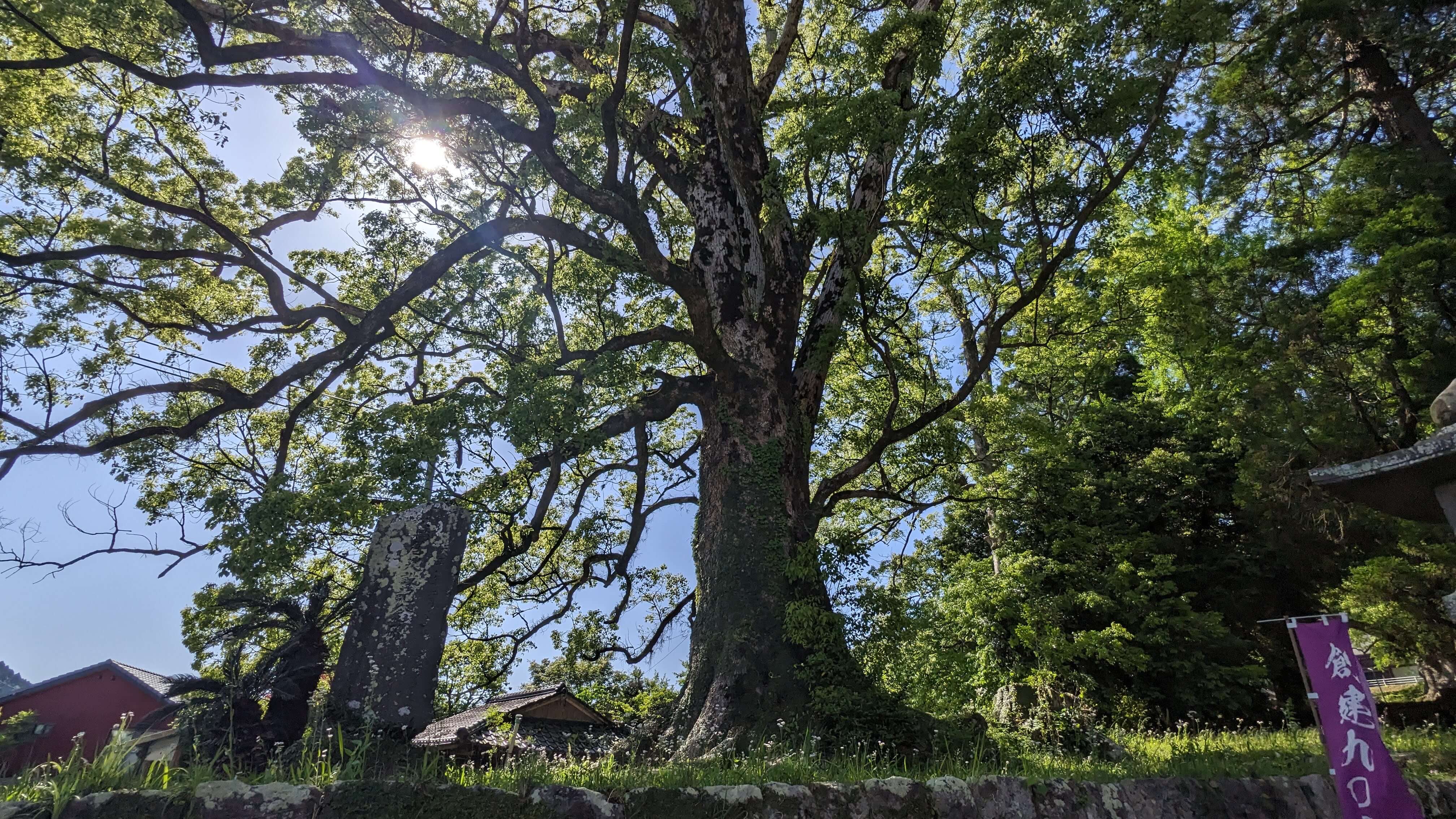 蒲生八幡神社 境内 サムネイル 3
