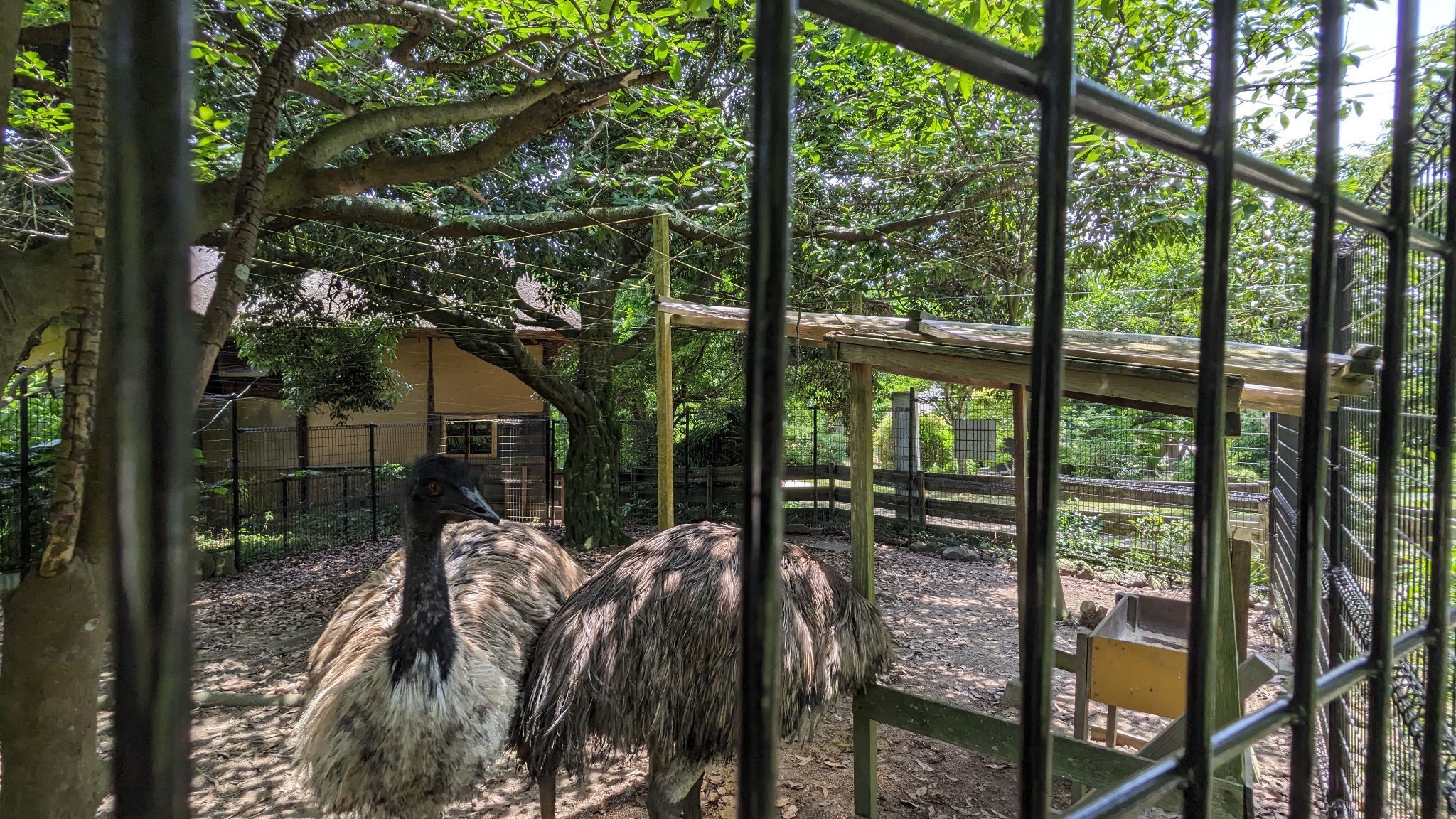 宮ZOO 1