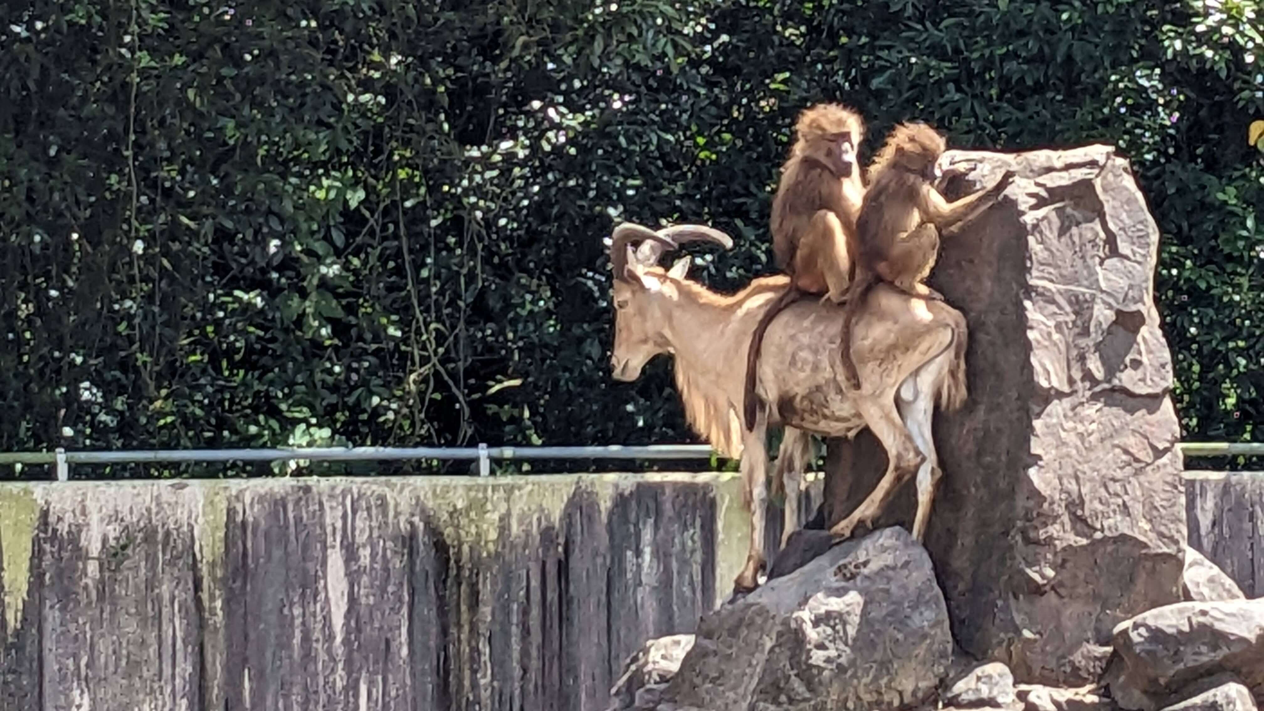 鹿児島市平川動物公園 サムネイル 3