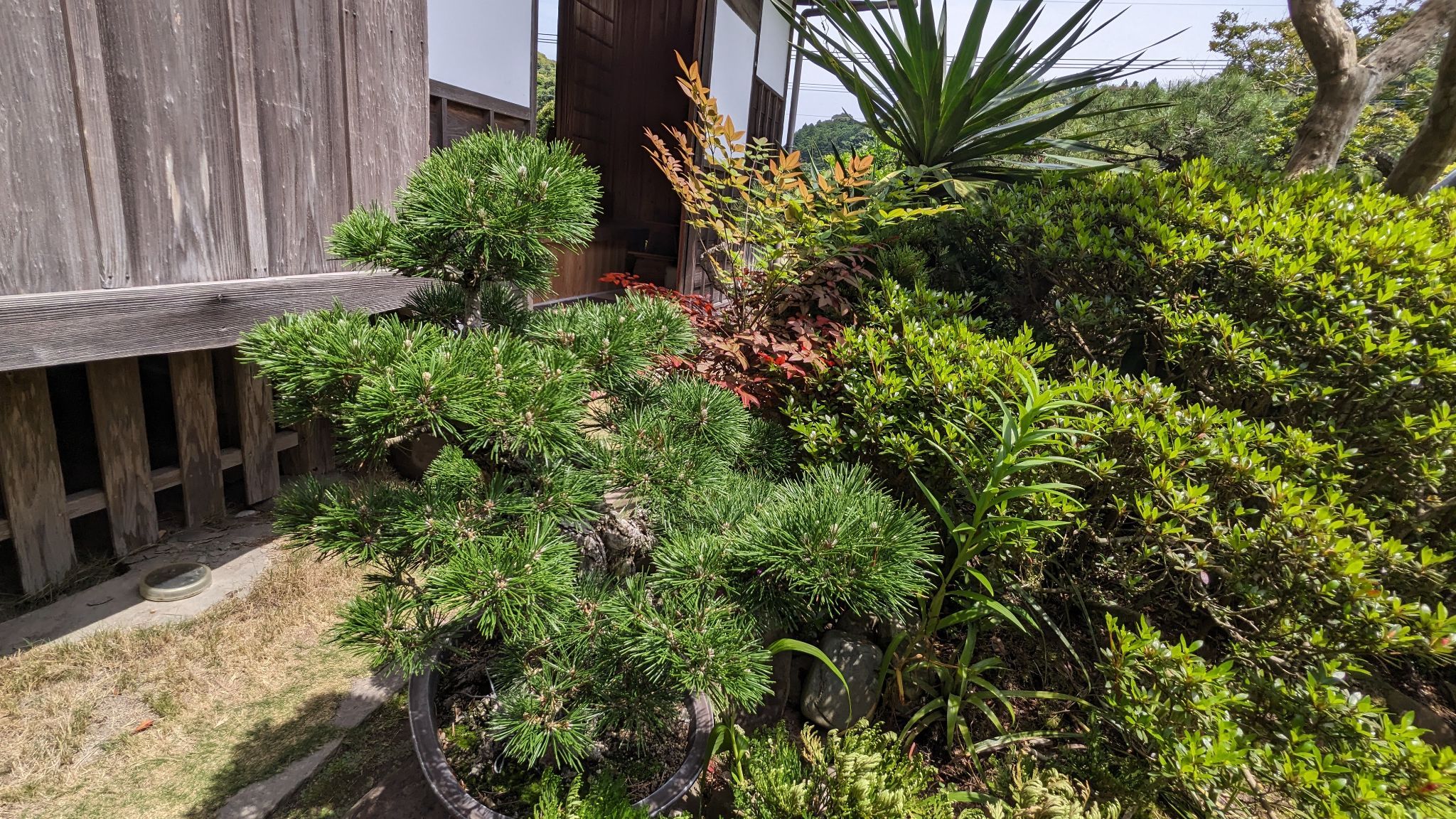 清水氏庭園 サムネイル 6