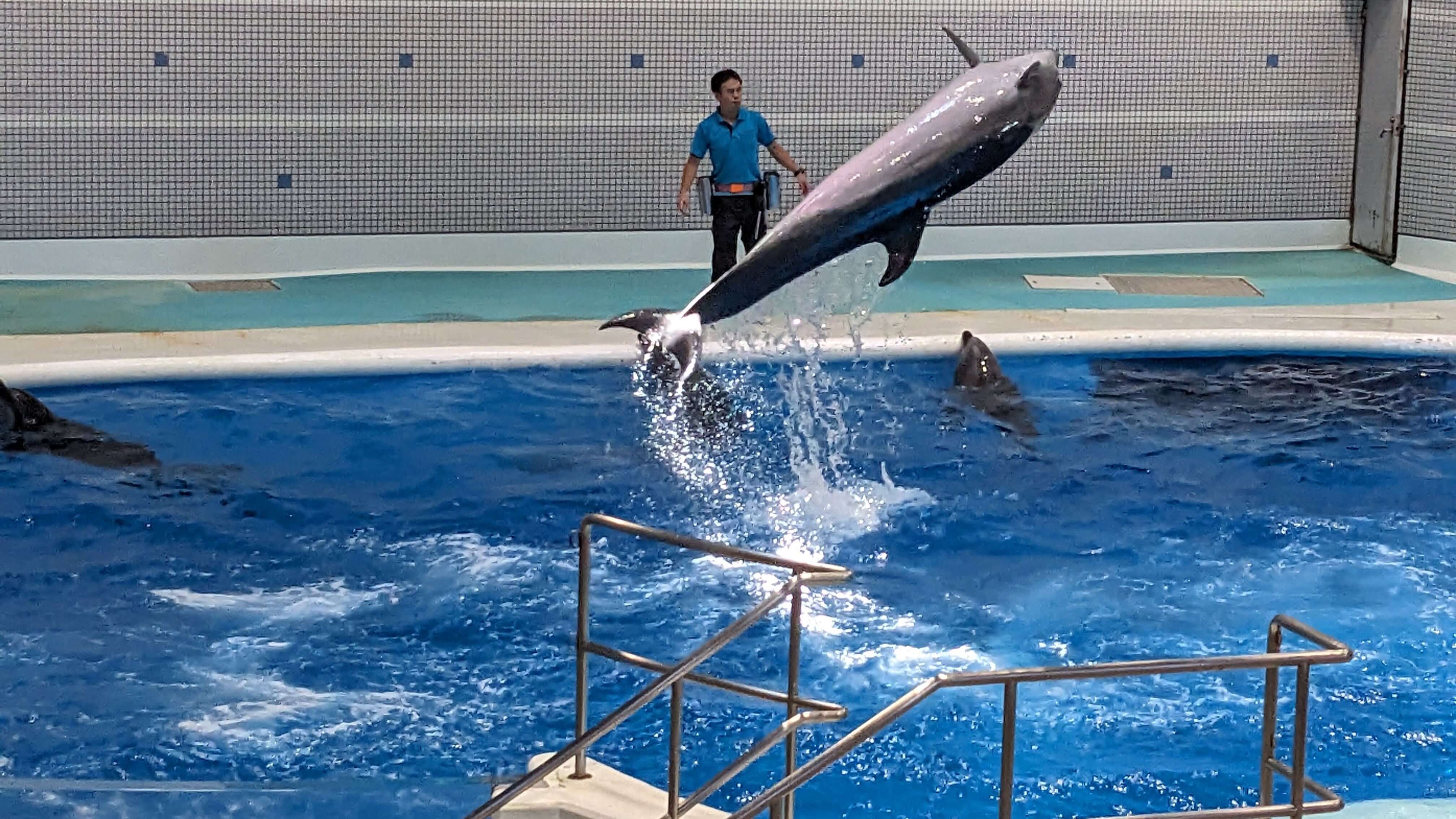 いおワールドかごしま水族館 サムネイル 3