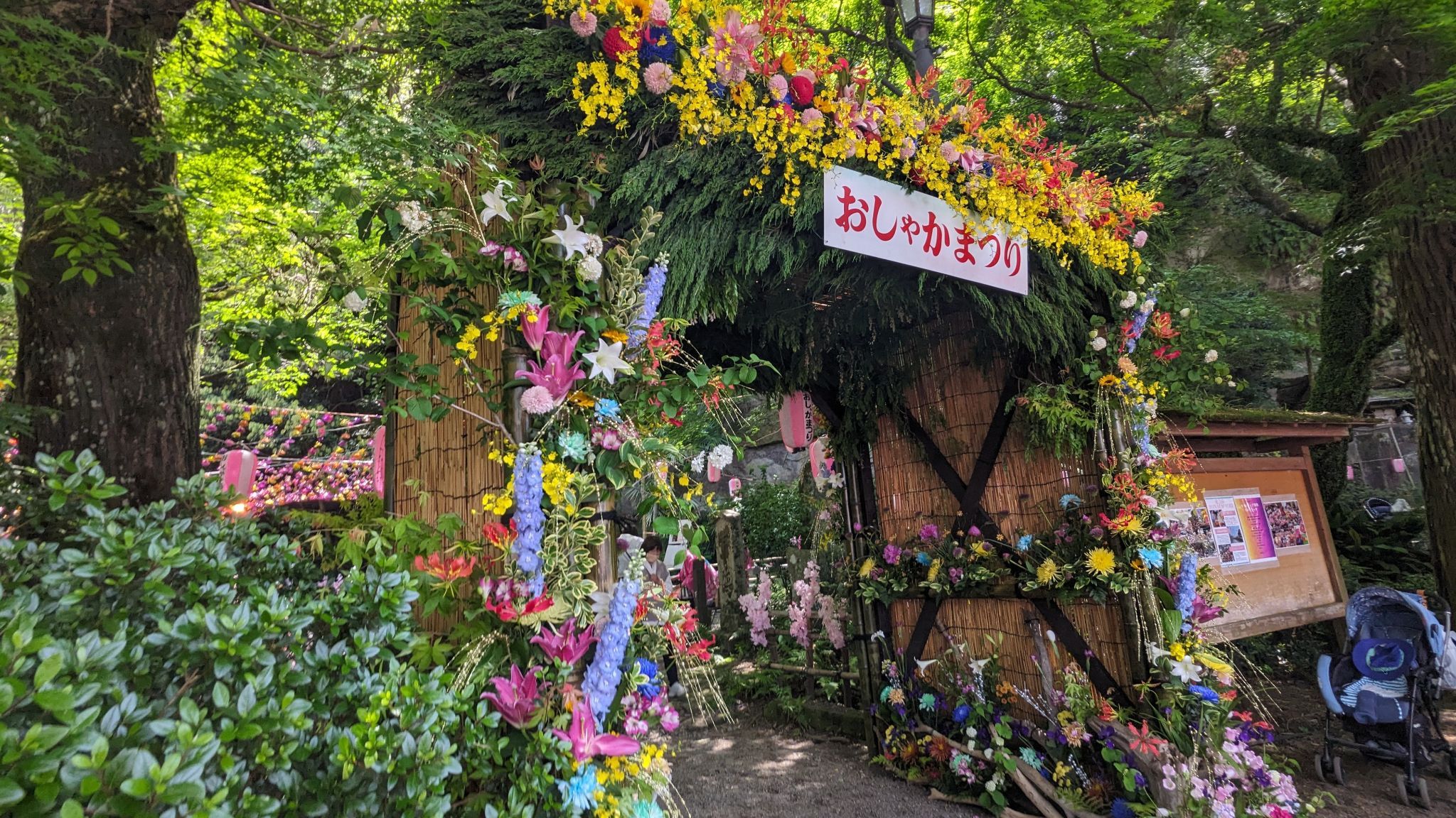 【2026 お釈迦まつり】お釈迦様の誕生日を祝う賑やかな境内で、名物おこわと多肉植物の彩りに癒された春の日