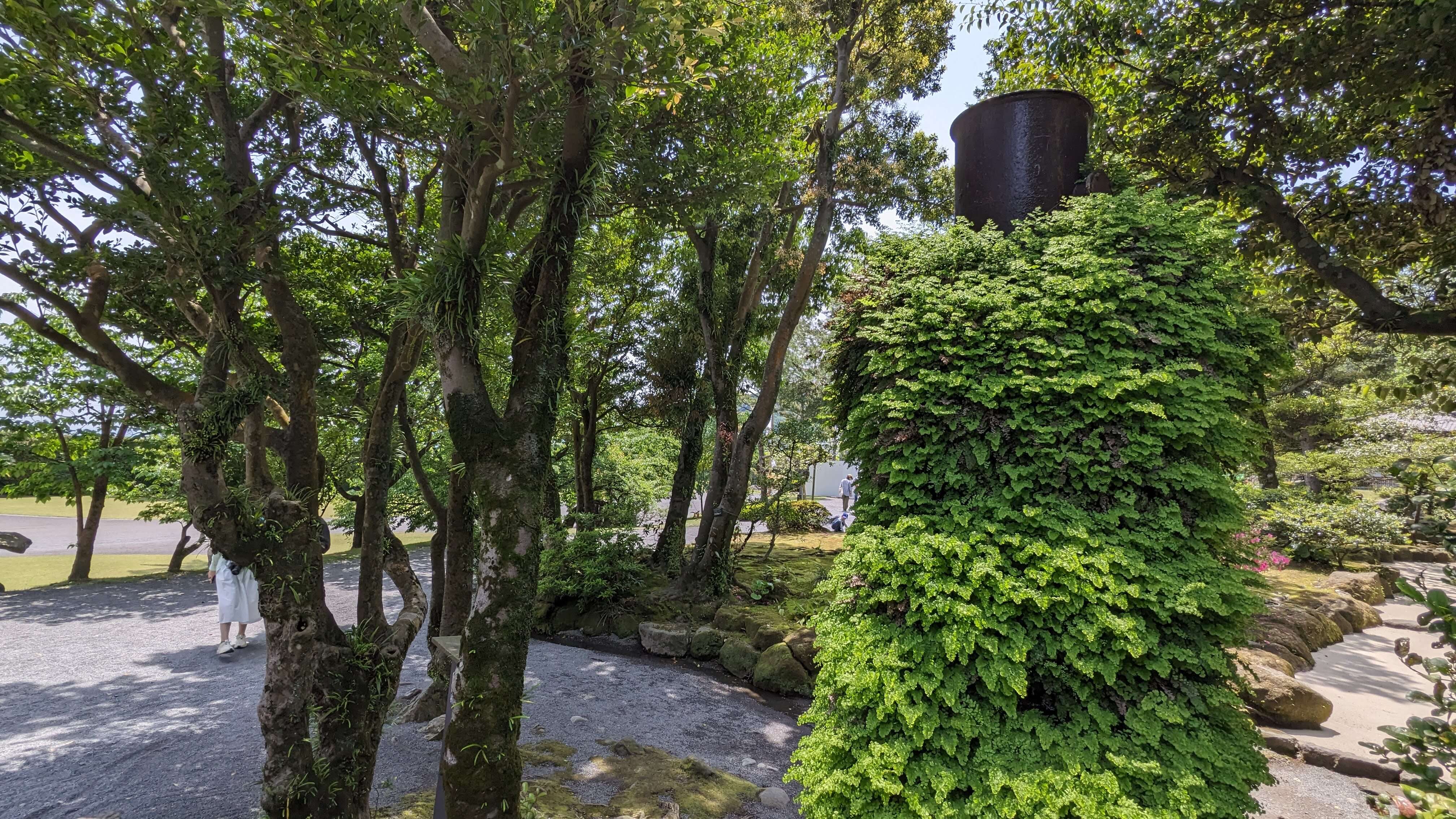 高枡