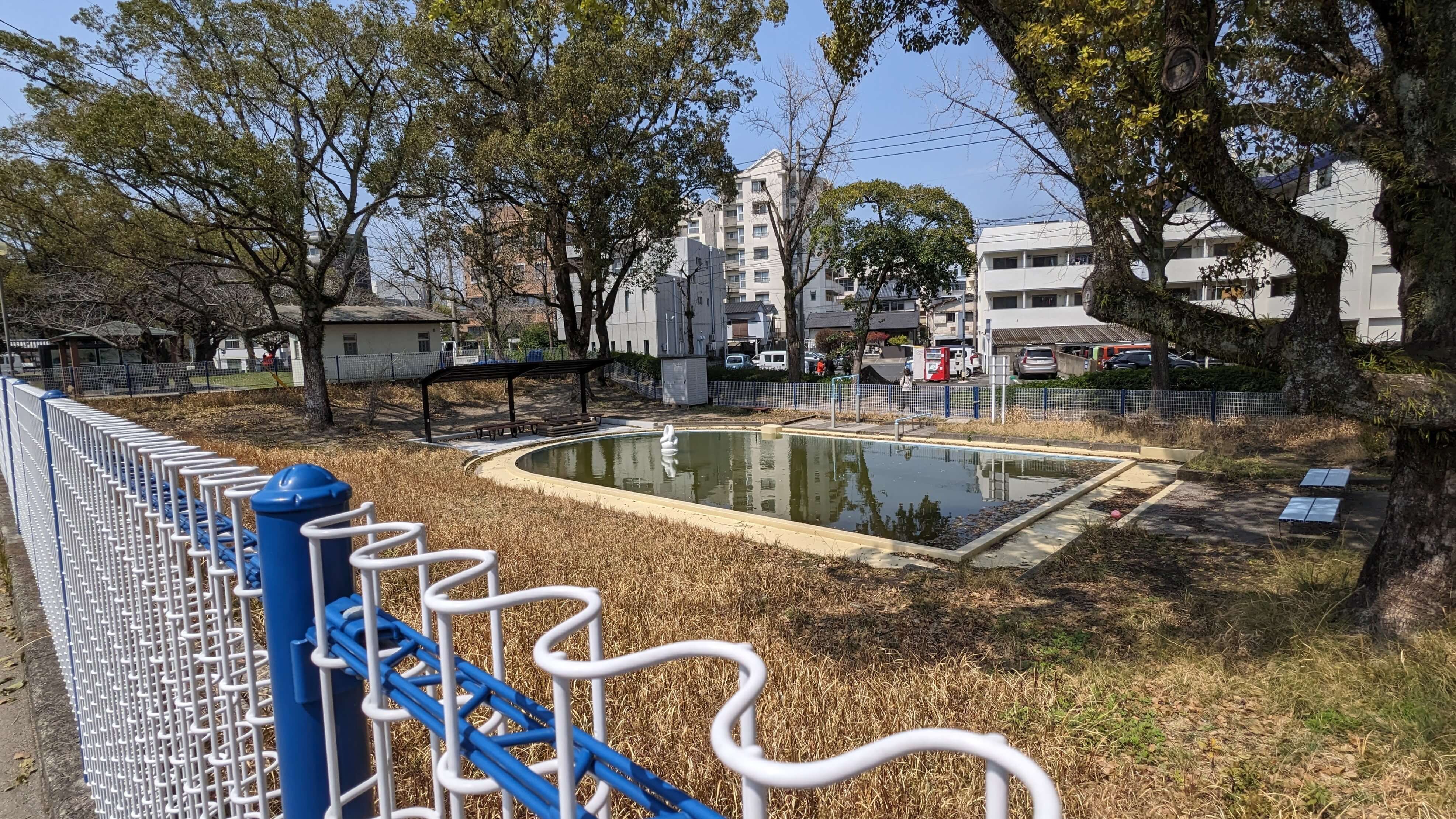 プール