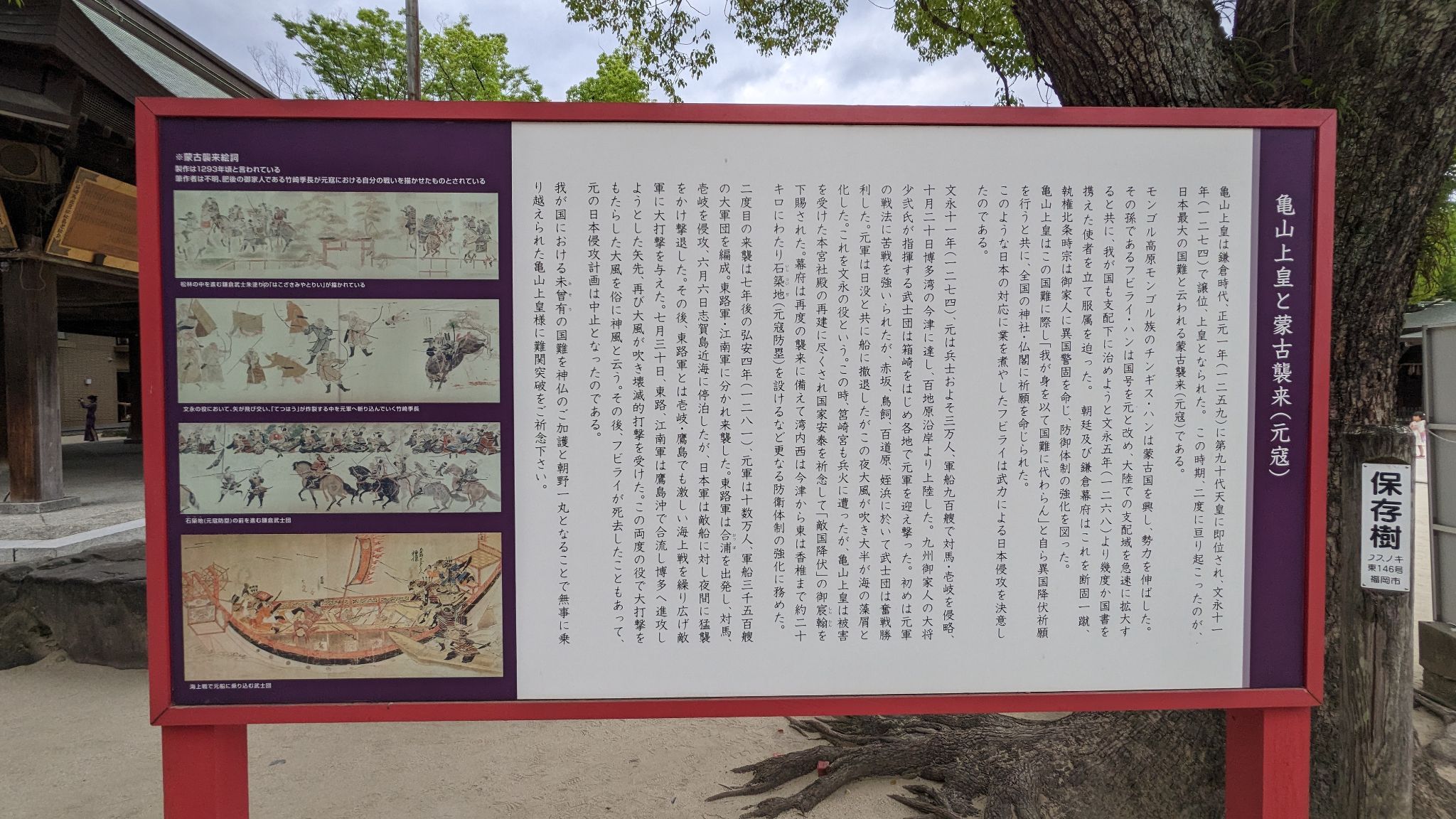 【元寇ゆかりの古社】箱崎で出会う歴史と紫陽花の旅日記