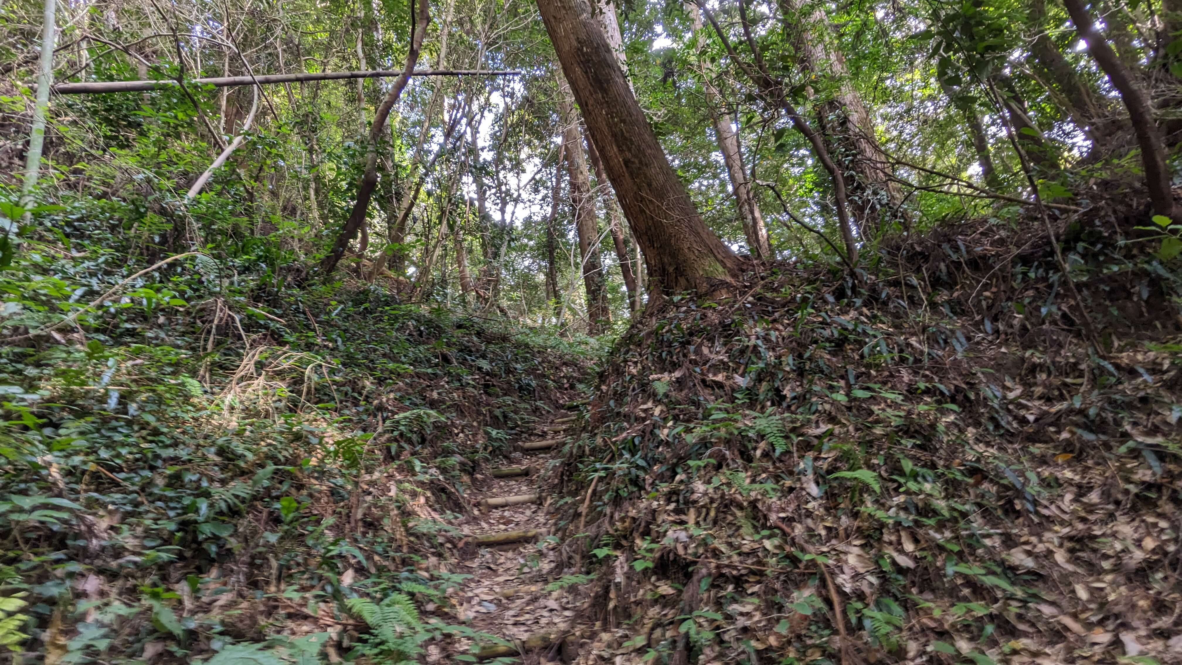 歴史的価値