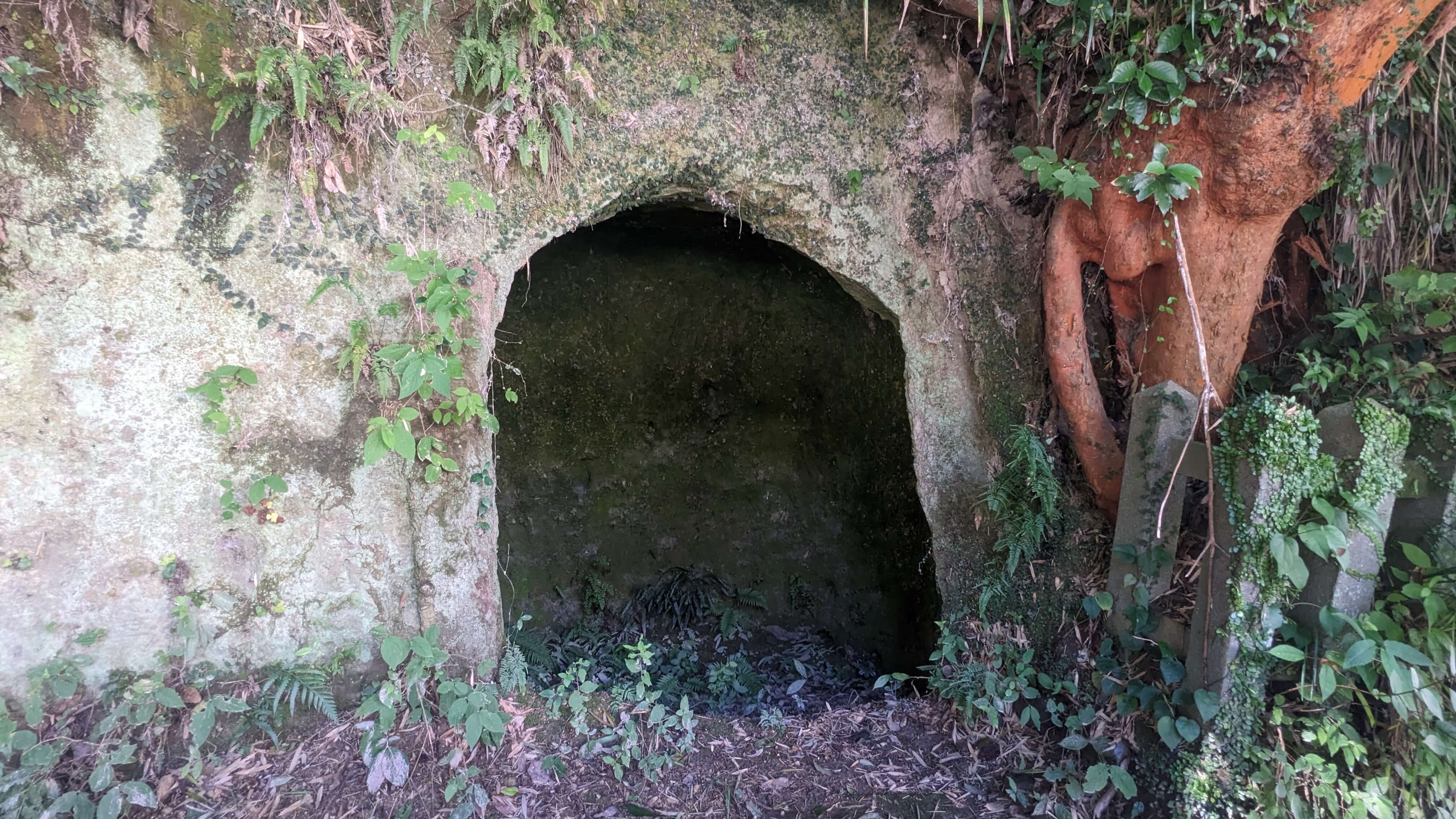 【西郷隆盛】城山公園展望台から見る鹿児島と西郷隆盛の歴史