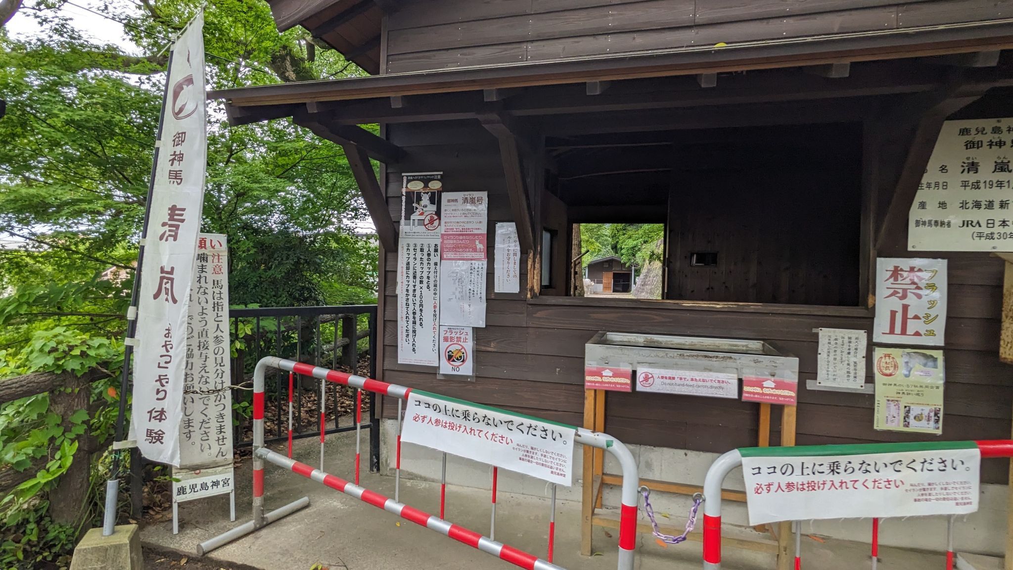 御神馬 サムネイル 3