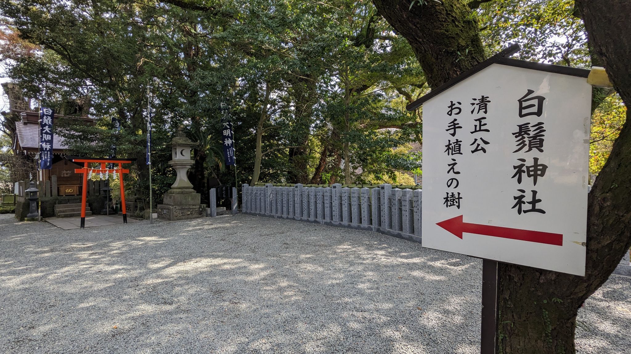 白鬚神社 サムネイル 4