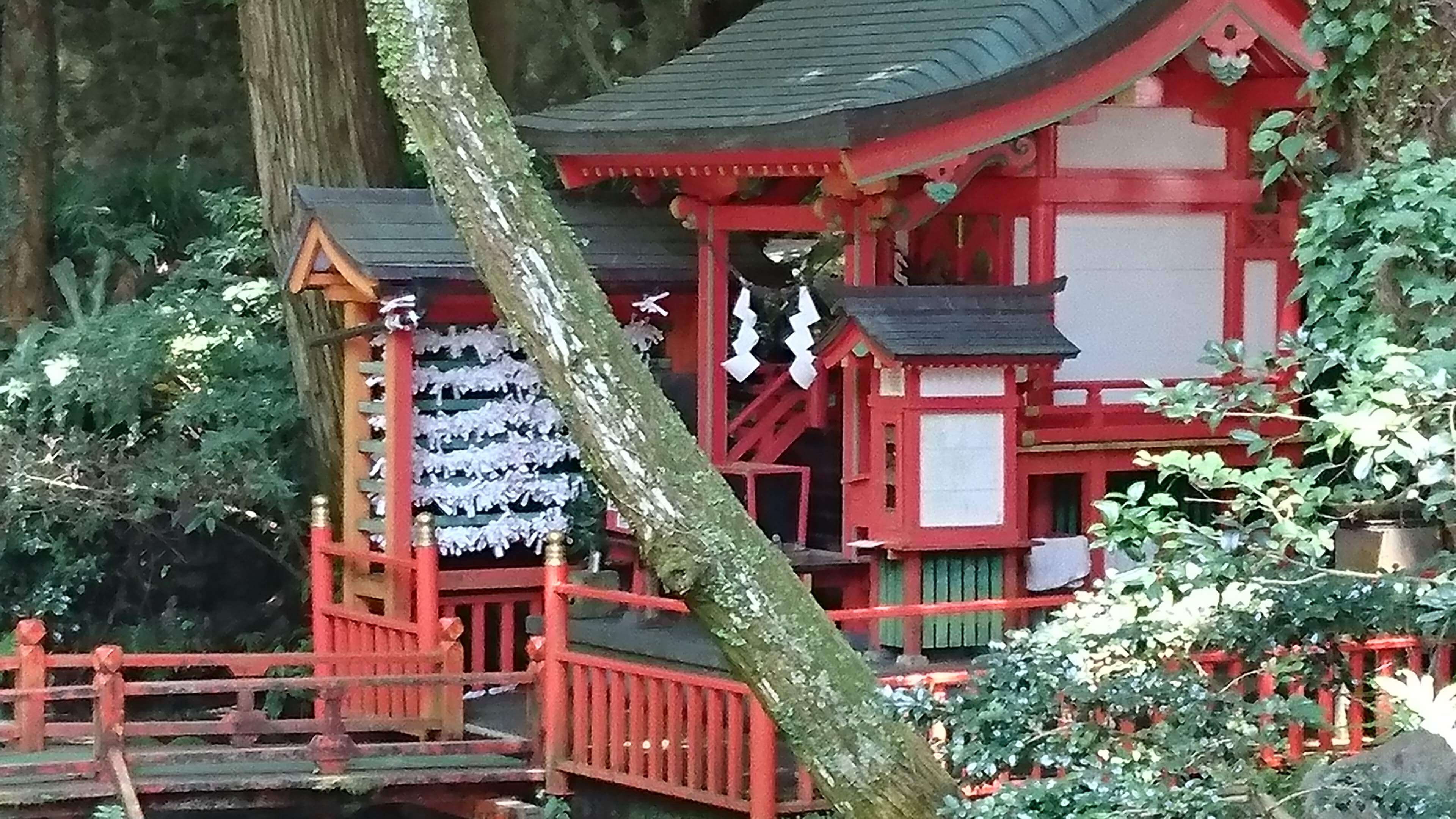 唐船峡 川上神社(京田湧水) サムネイル 3